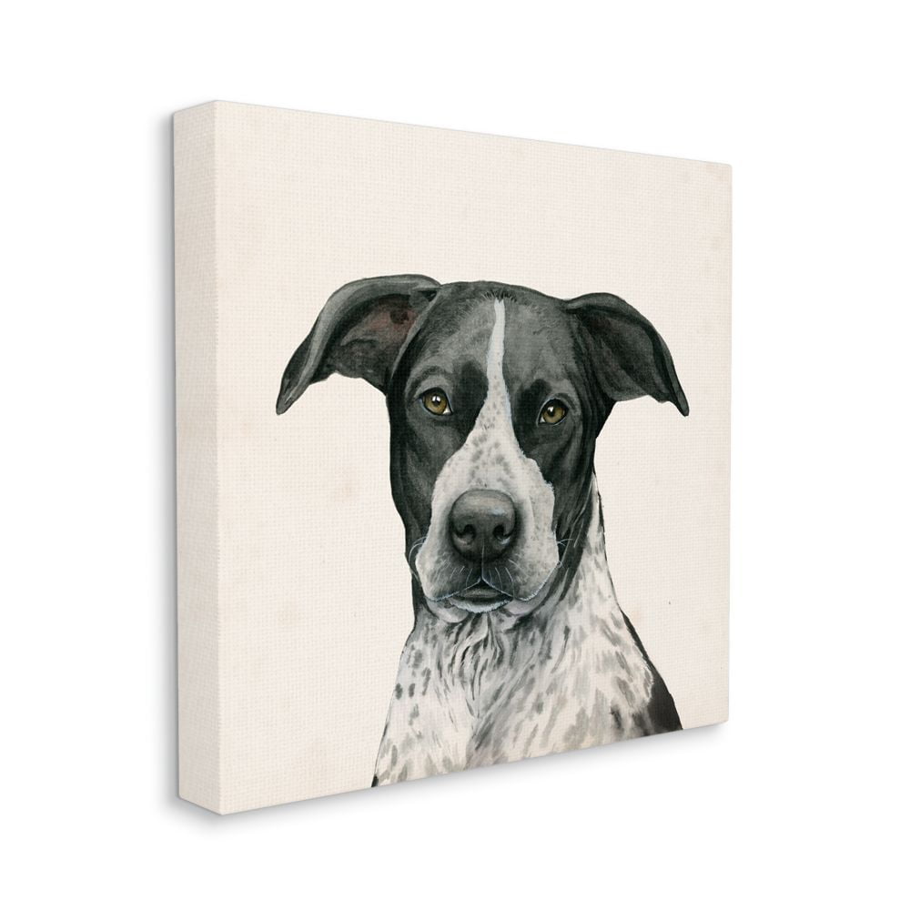 Stupell Industries Intriguing Dalmatian Mix Dog Breed Pet Portrait Designed by Grace Popp