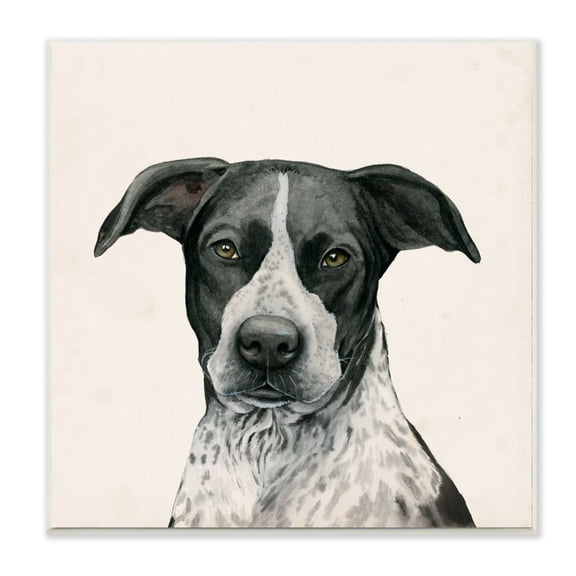 Stupell Industries Intriguing Dalmatian Mix Dog Breed Pet Portrait Designed by Grace Popp