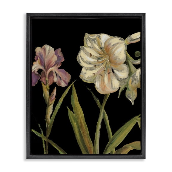 Stupell Industries Iris Flowers on Black Botanical & Floral Painting Black Floater Framed Canvas Art Print Wall Art, 25 x 31