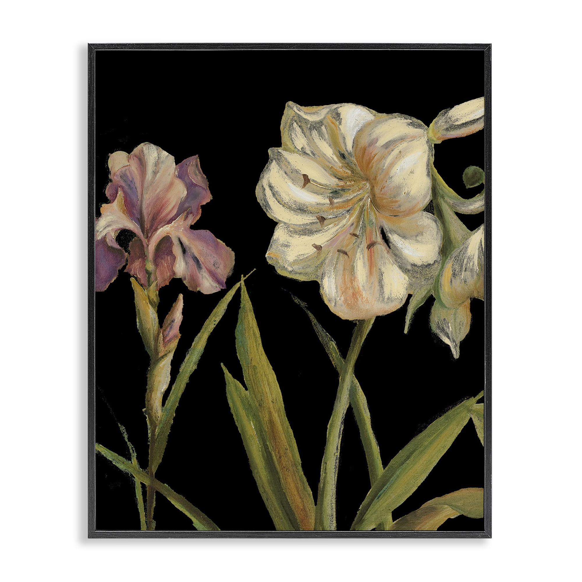 Stupell Industries Iris Flowers on Black Botanical & Floral Painting Black Framed Art Print Wall Art, 16 x 20