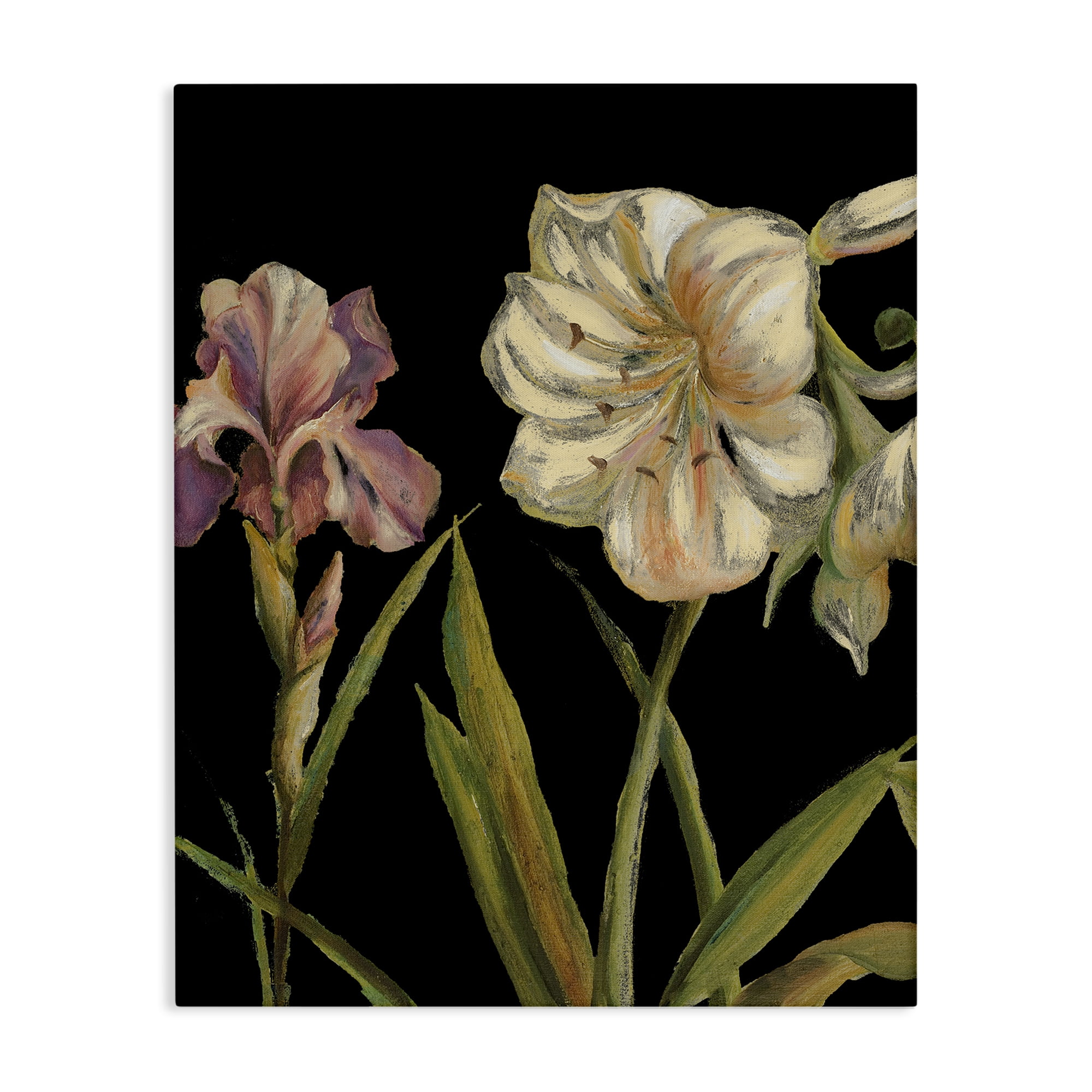 Stupell Industries Iris Flowers on Black Botanical & Floral Painting Gallery Wrapped Canvas Art Print Wall Art, 24 x 30