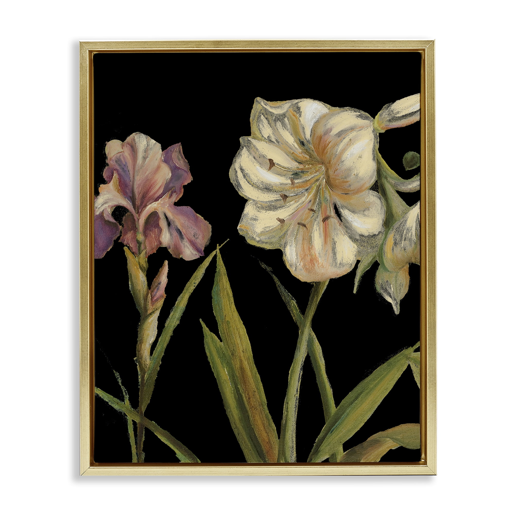 Stupell Industries Iris Flowers on Black Botanical & Floral Painting Gold Floater Framed Canvas Art Print Wall Art, 17 x 21