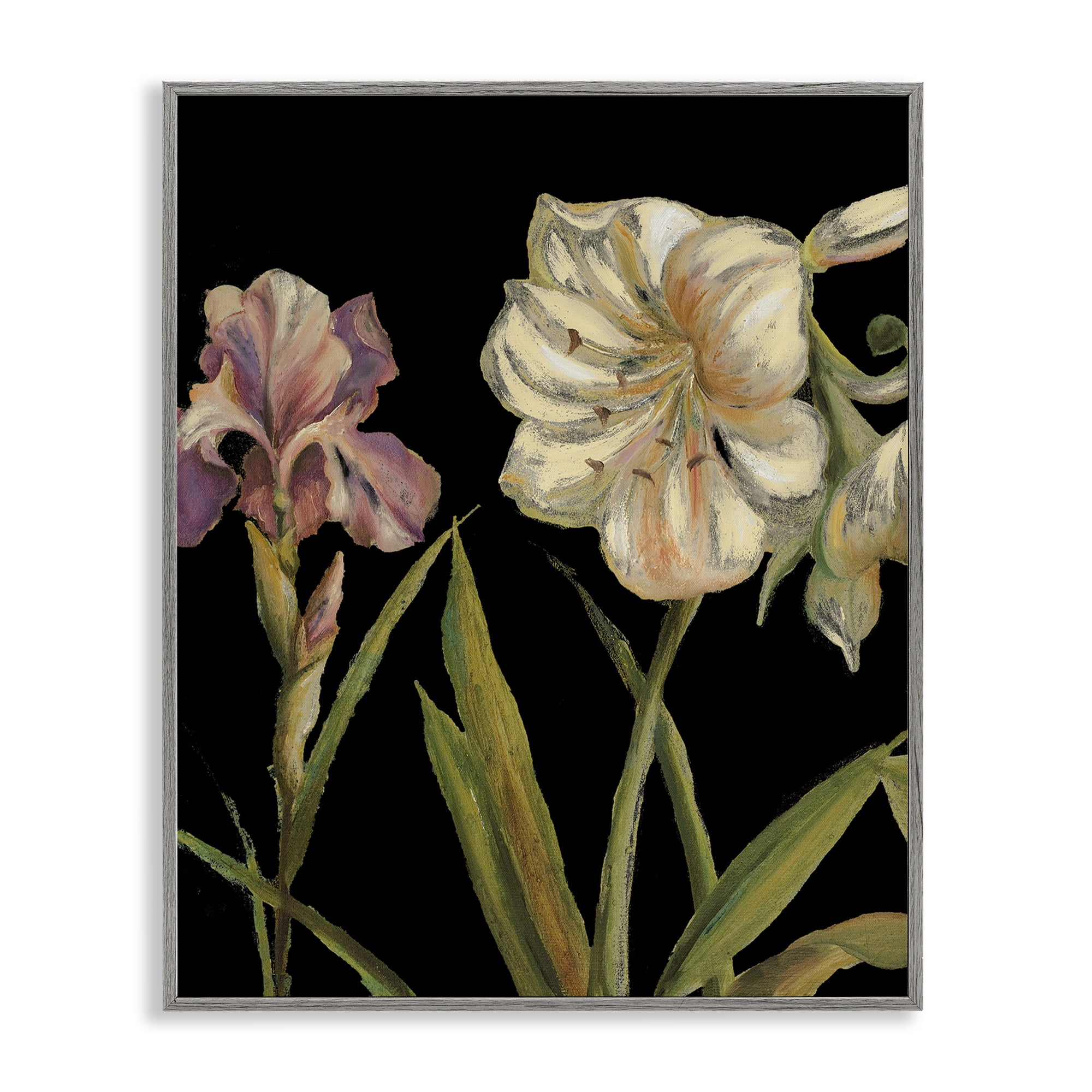 Stupell Industries Iris Flowers on Black Botanical & Floral Painting Gray Framed Art Print Wall Art, 24 x 30