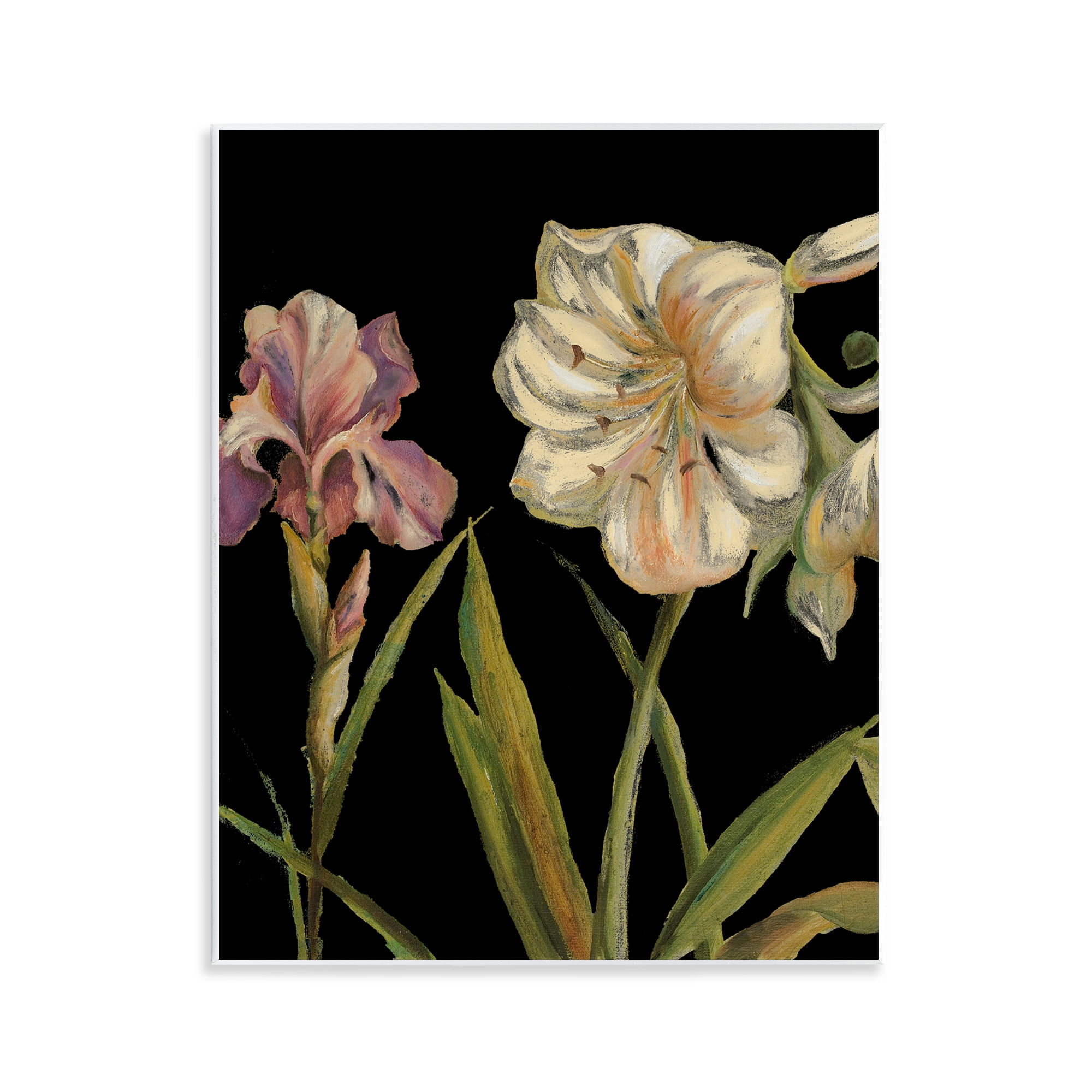 Stupell Industries Iris Flowers on Black Botanical & Floral Painting Unframed Art Print Wall Art, 11 x 14