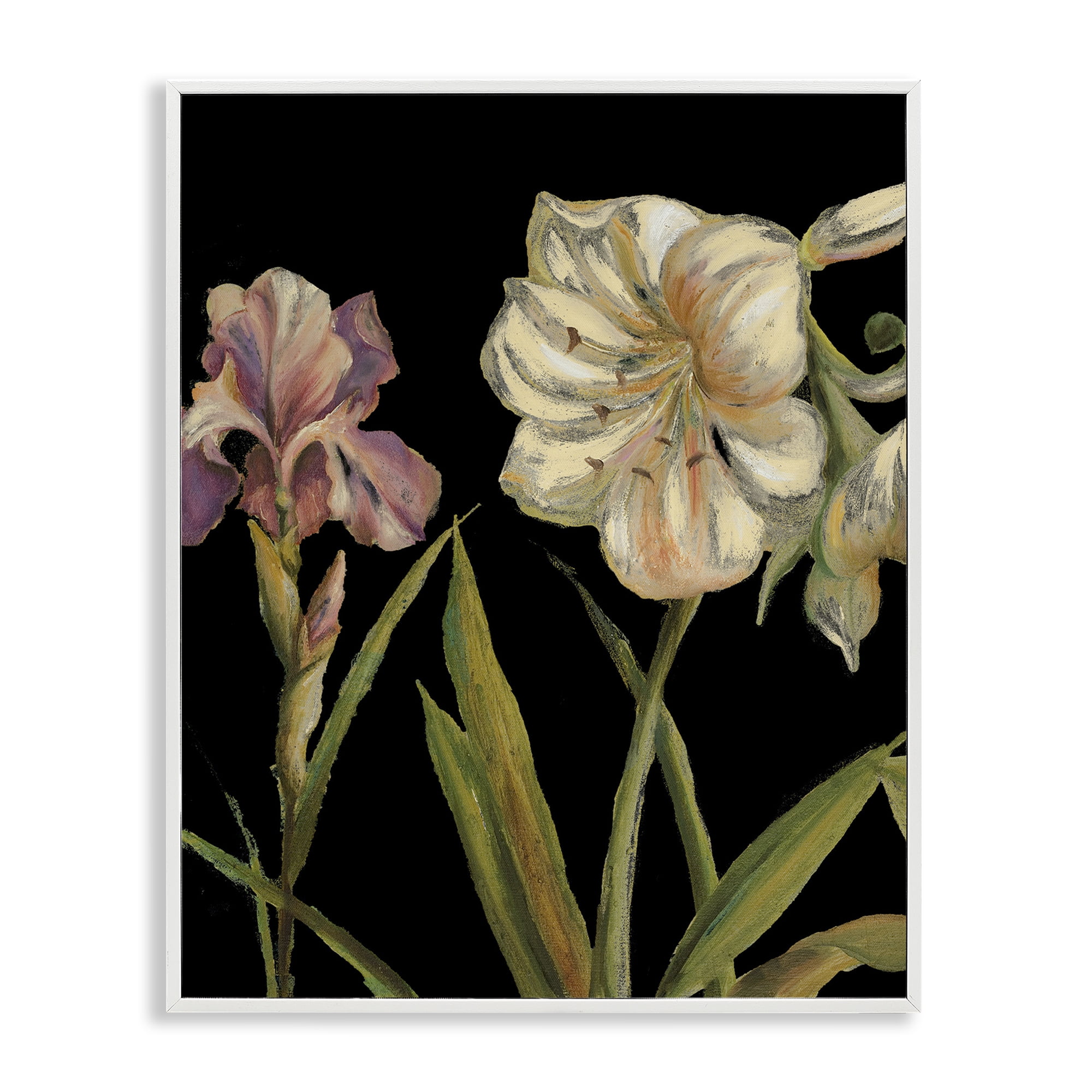 Stupell Industries Iris Flowers on Black Botanical & Floral Painting White Framed Art Print Wall Art, 24 x 30