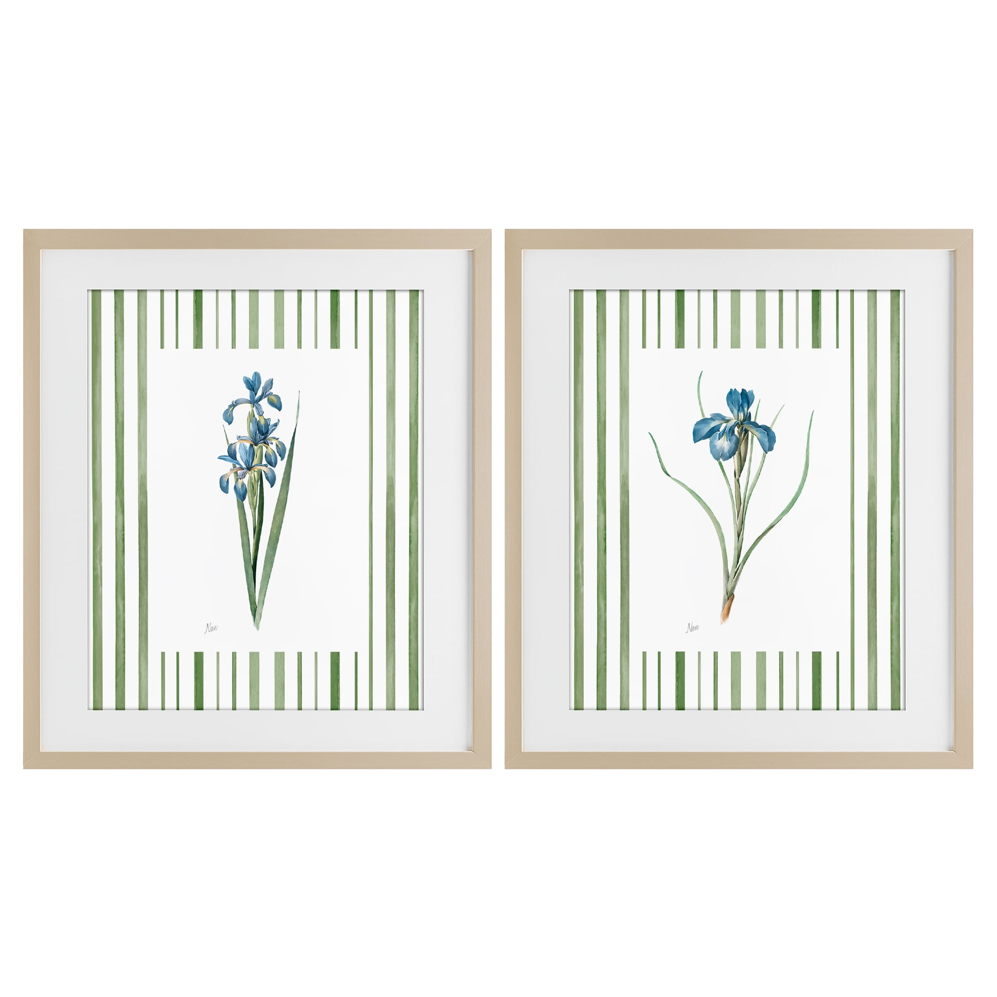 Stupell Industries Irises And Stripes 2 Piece Birch Framed Print Under Glass Set, design by Nan