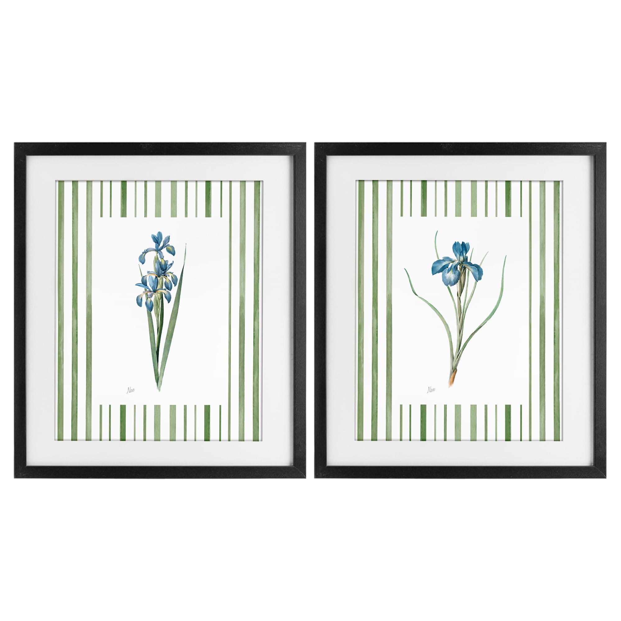 Stupell Industries Irises And Stripes 2 Piece Black Framed Print Under Glass Set, design by Nan