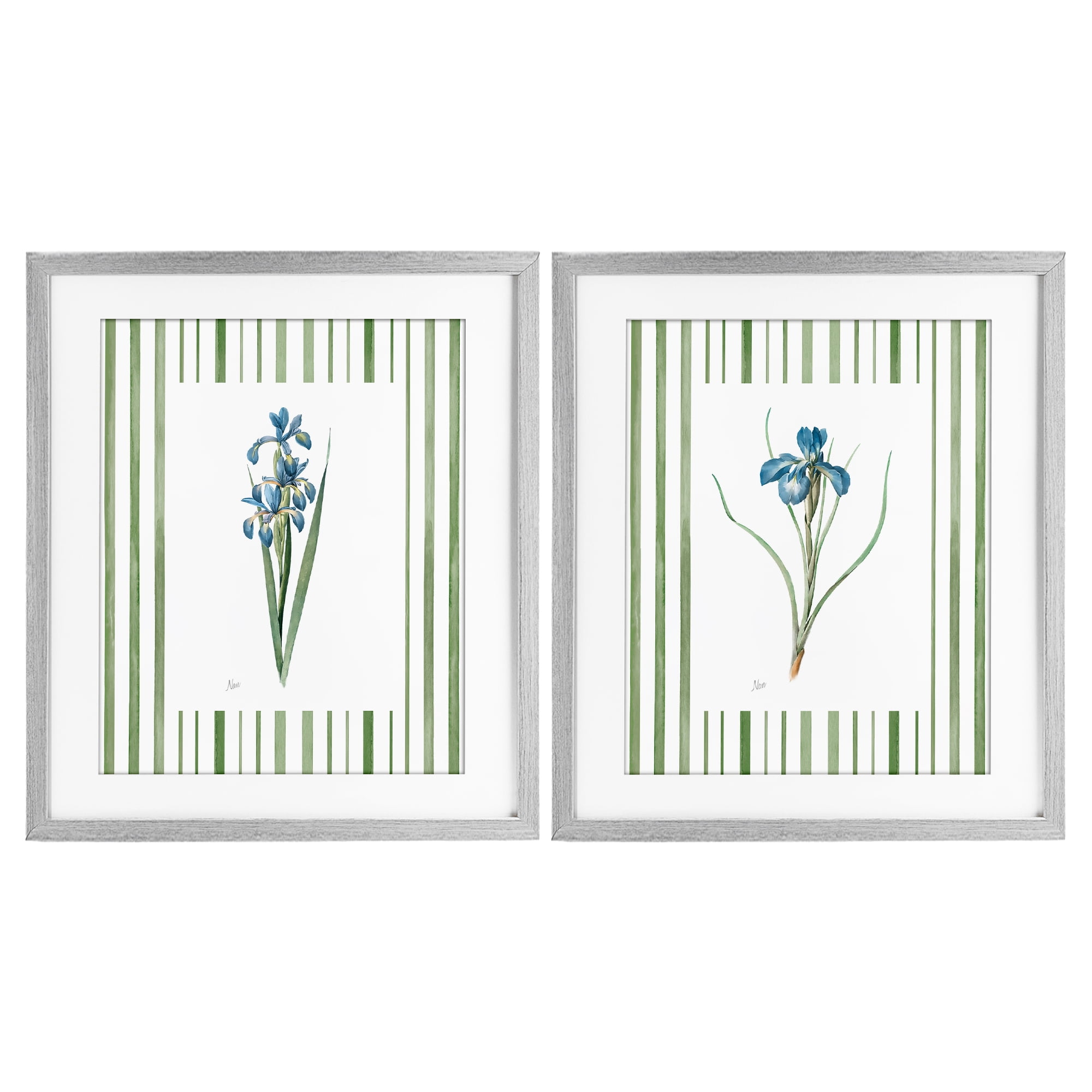 Stupell Industries Irises And Stripes 2 Piece Gray Framed Print Under Glass Set, design by Nan