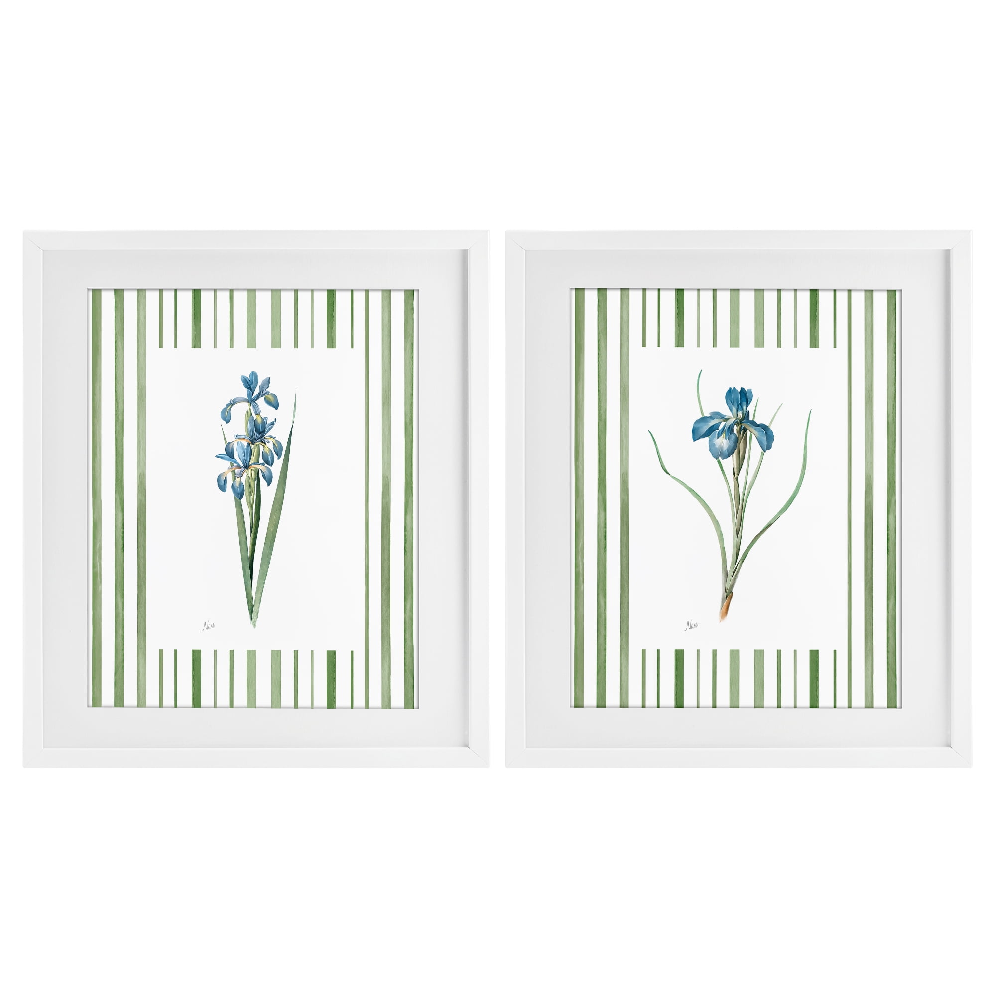 Stupell Industries Irises And Stripes 2 Piece White Framed Print Under Glass Set, design by Nan