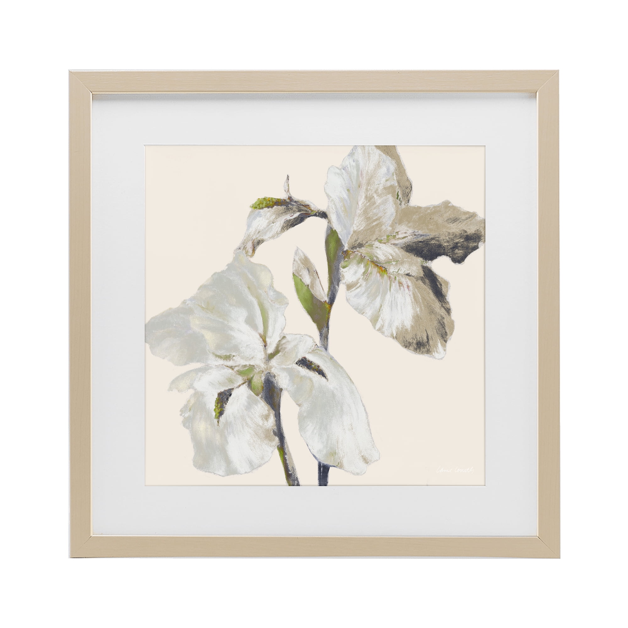 Stupell Industries Irises Soft Beige Birch Framed Print Under Glass, design by Lanie Loreth