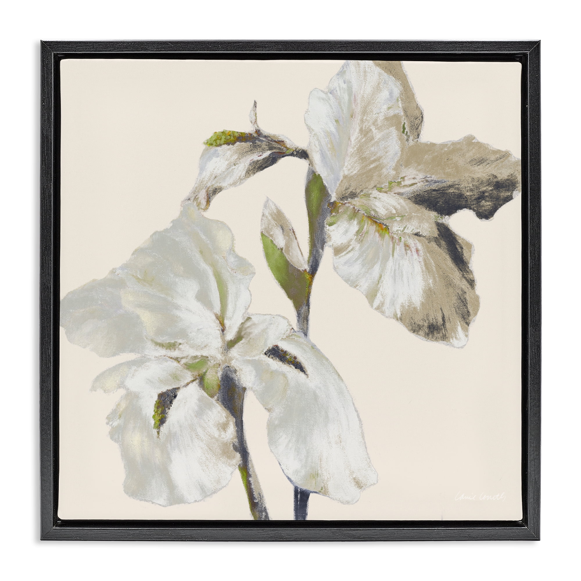 Stupell Industries Irises Soft Beige Black Framed Floater Canvas Wall Art, design by Lanie Loreth