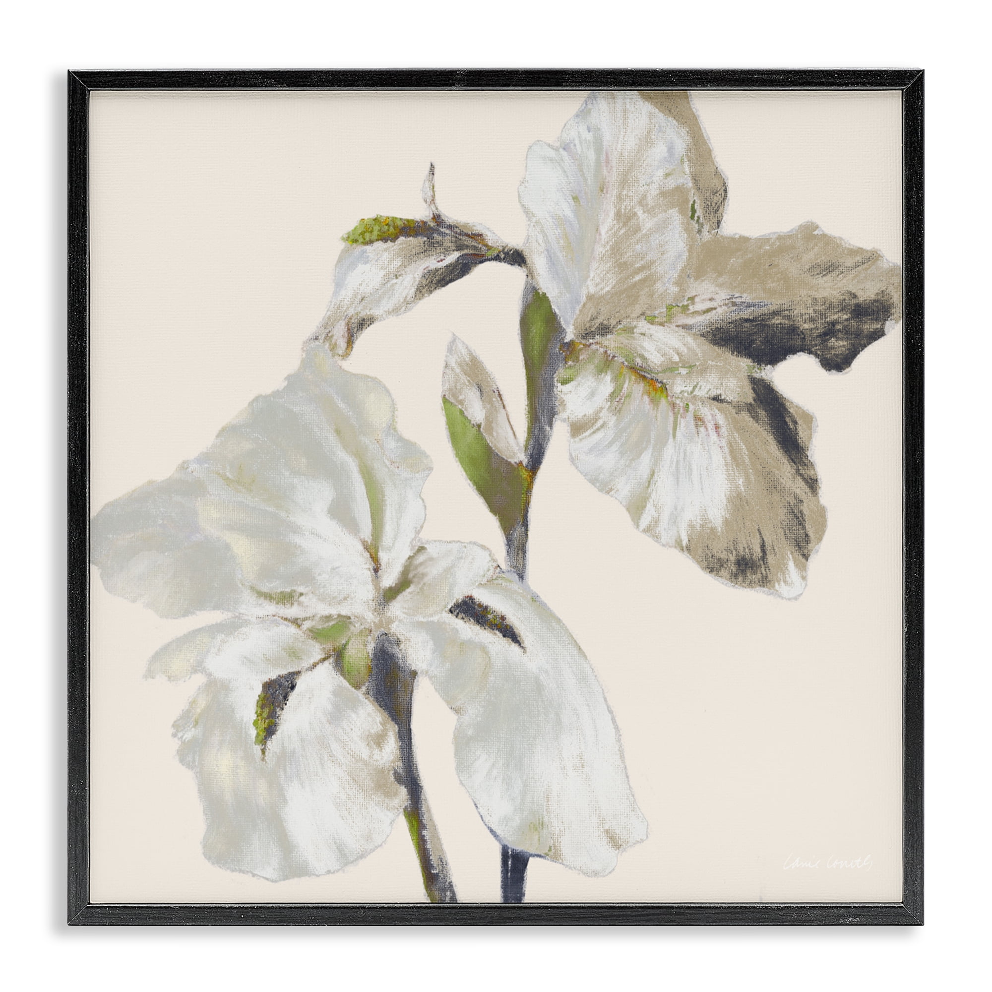 Stupell Industries Irises Soft Beige Black Framed Giclee Art, design by Lanie Loreth