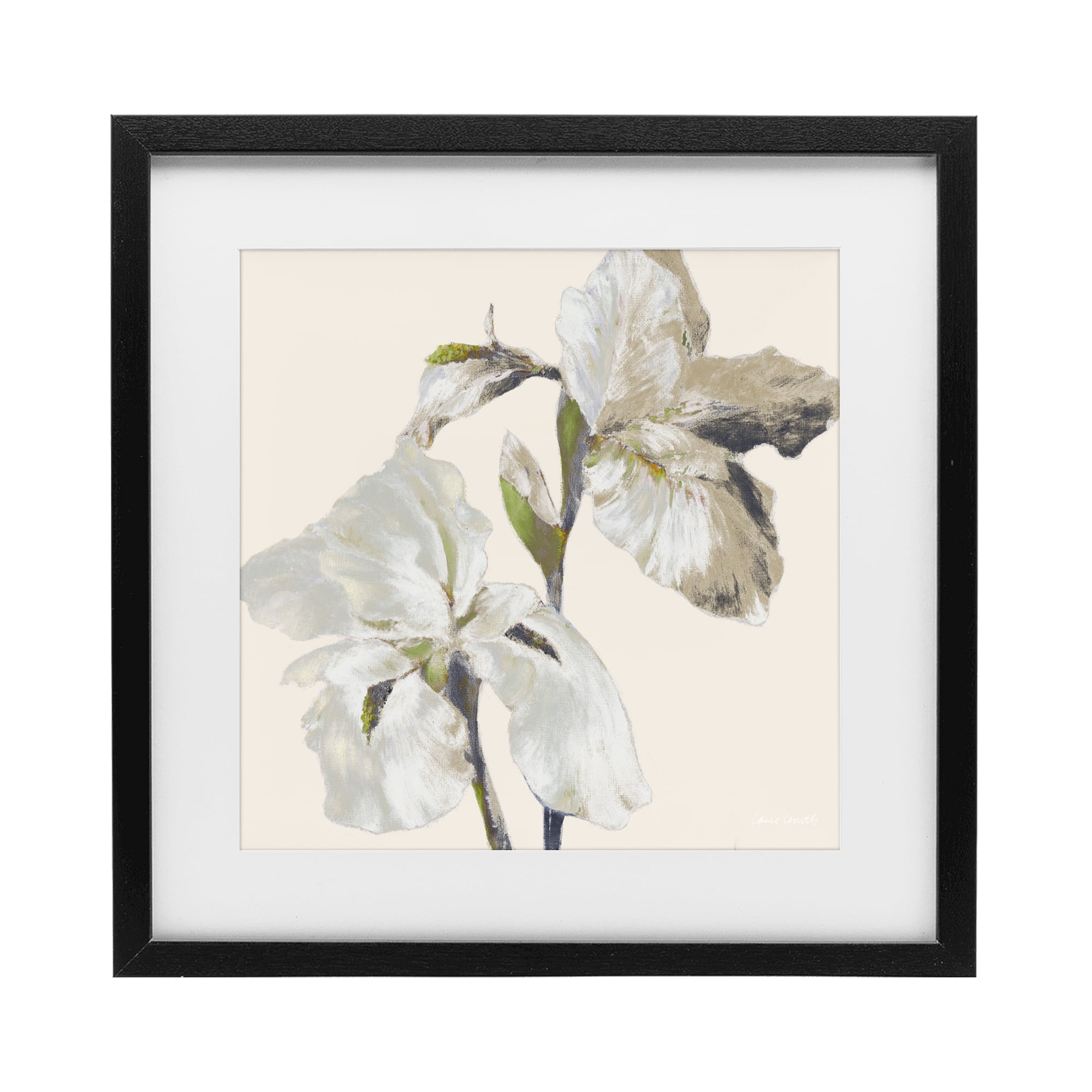 Stupell Industries Irises Soft Beige Black Framed Print Under Glass, design by Lanie Loreth