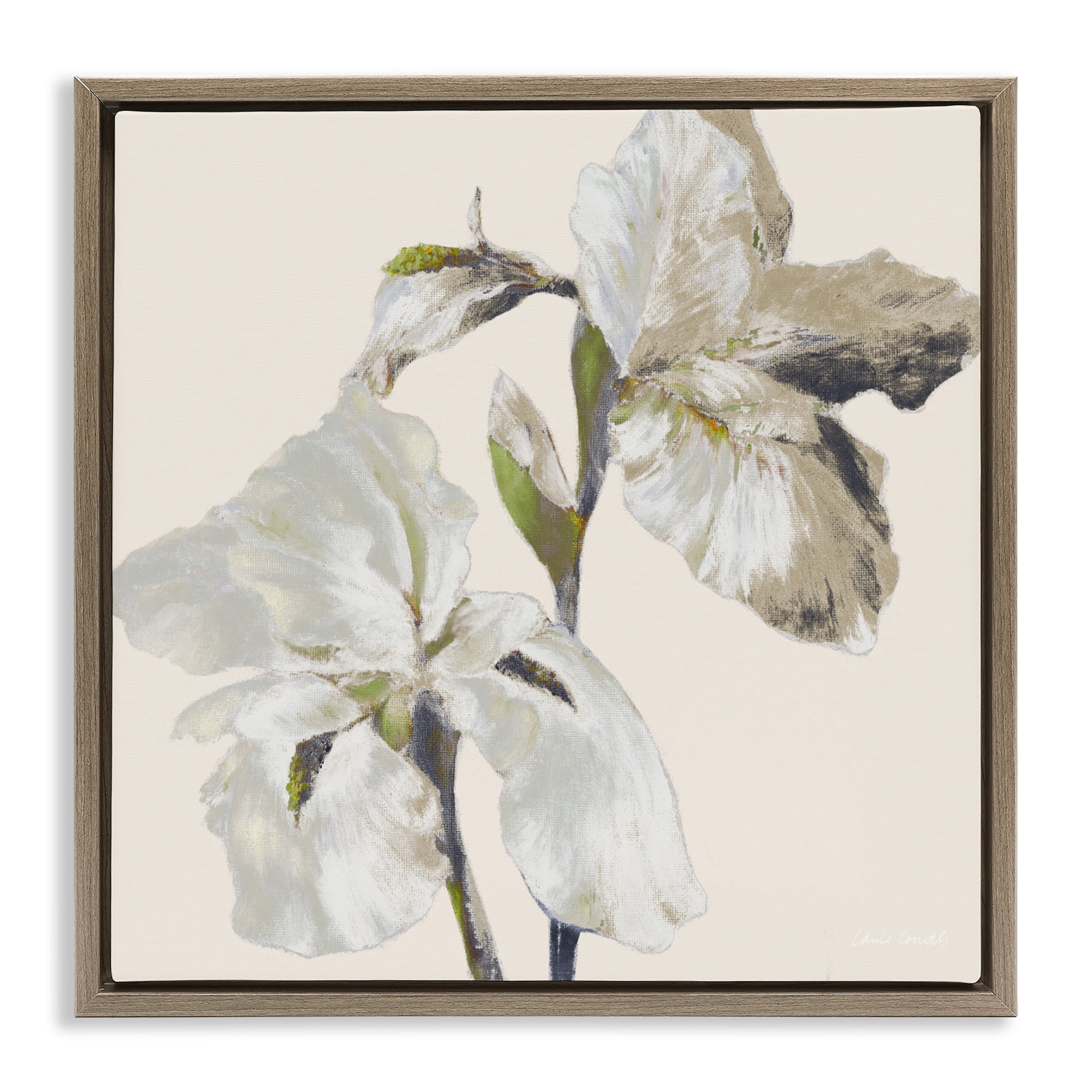 Stupell Industries Irises Soft Beige Brown Framed Floater Canvas Wall Art, design by Lanie Loreth