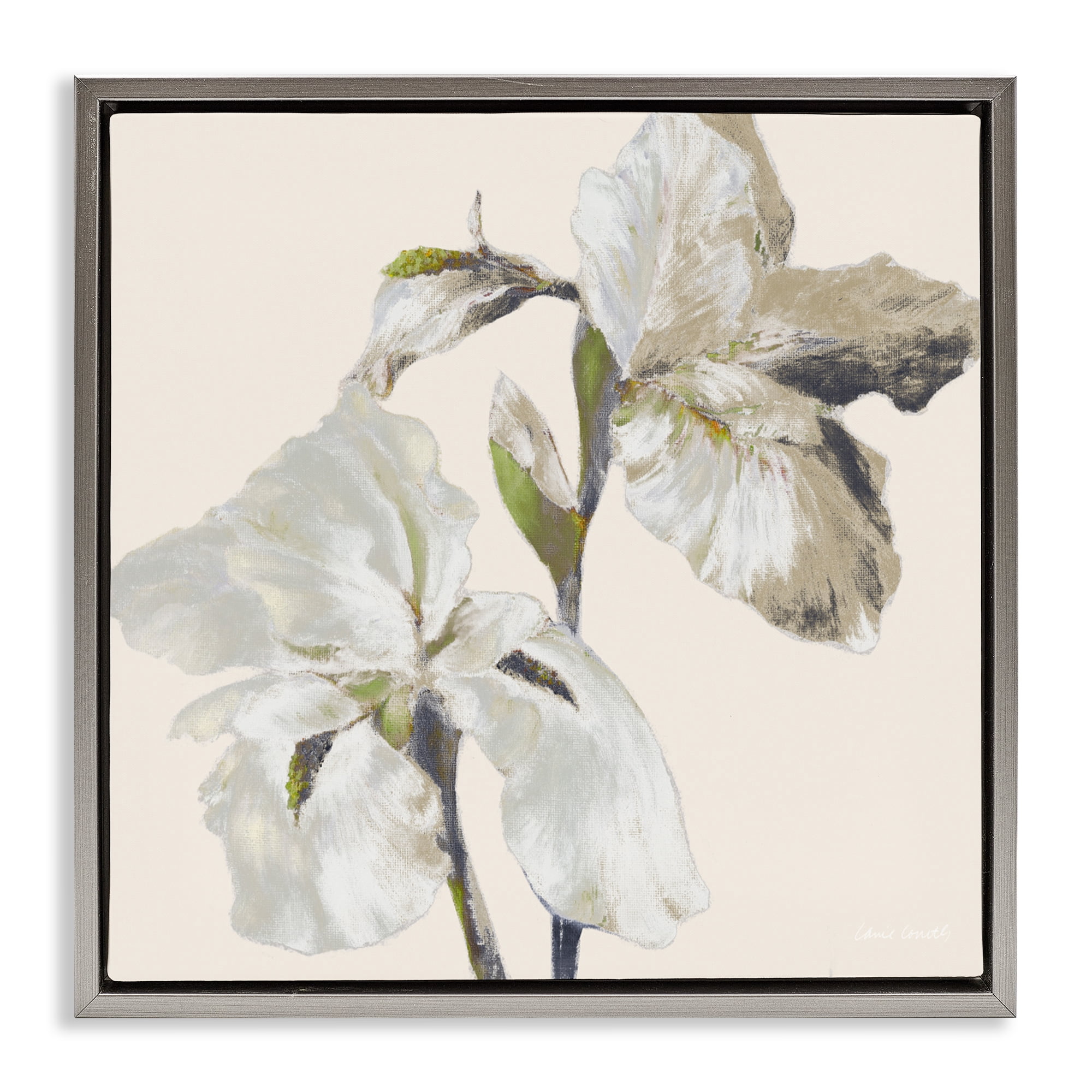 Stupell Industries Irises Soft Beige Gray Framed Floater Canvas Wall Art, design by Lanie Loreth