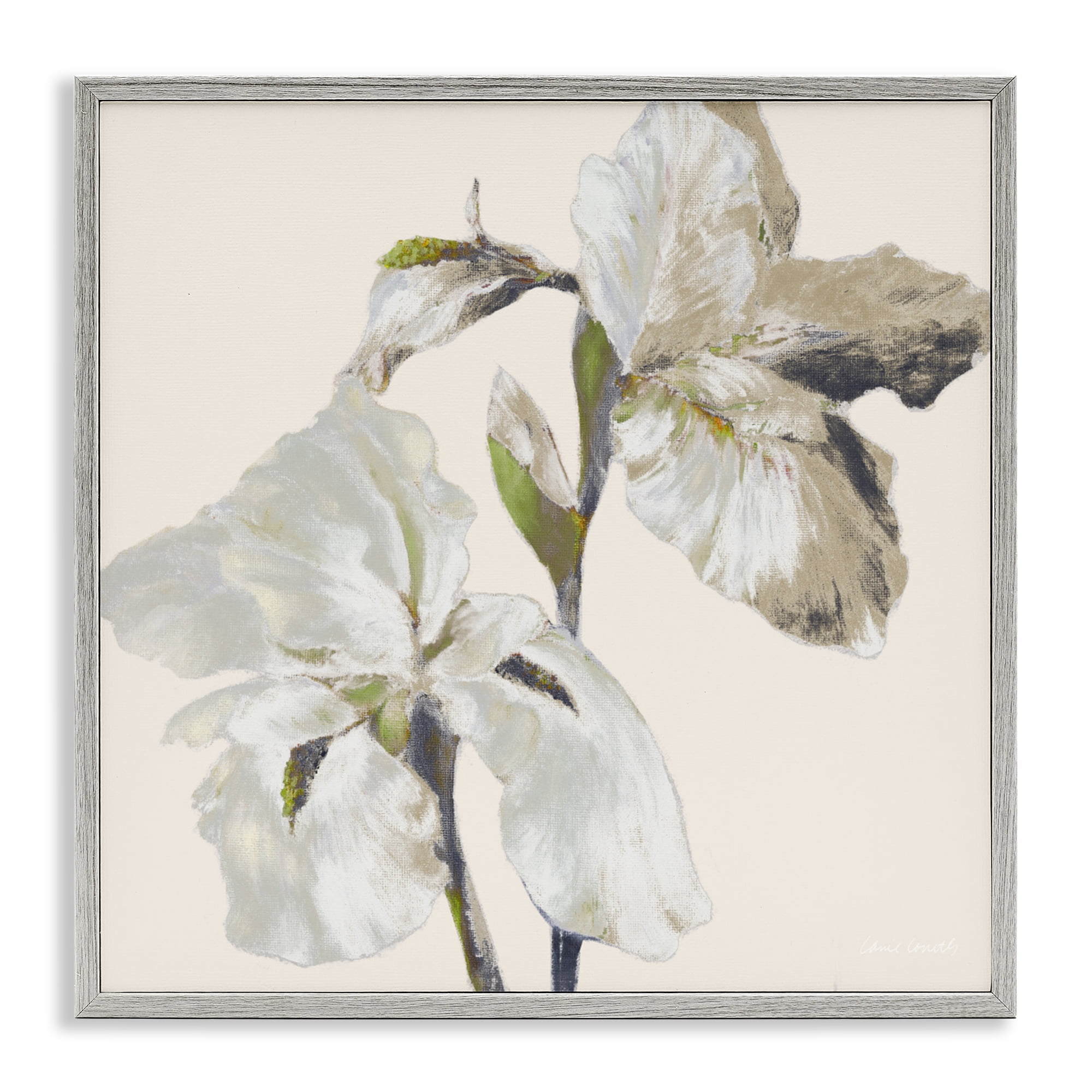 Stupell Industries Irises Soft Beige Gray Framed Giclee Art, design by Lanie Loreth