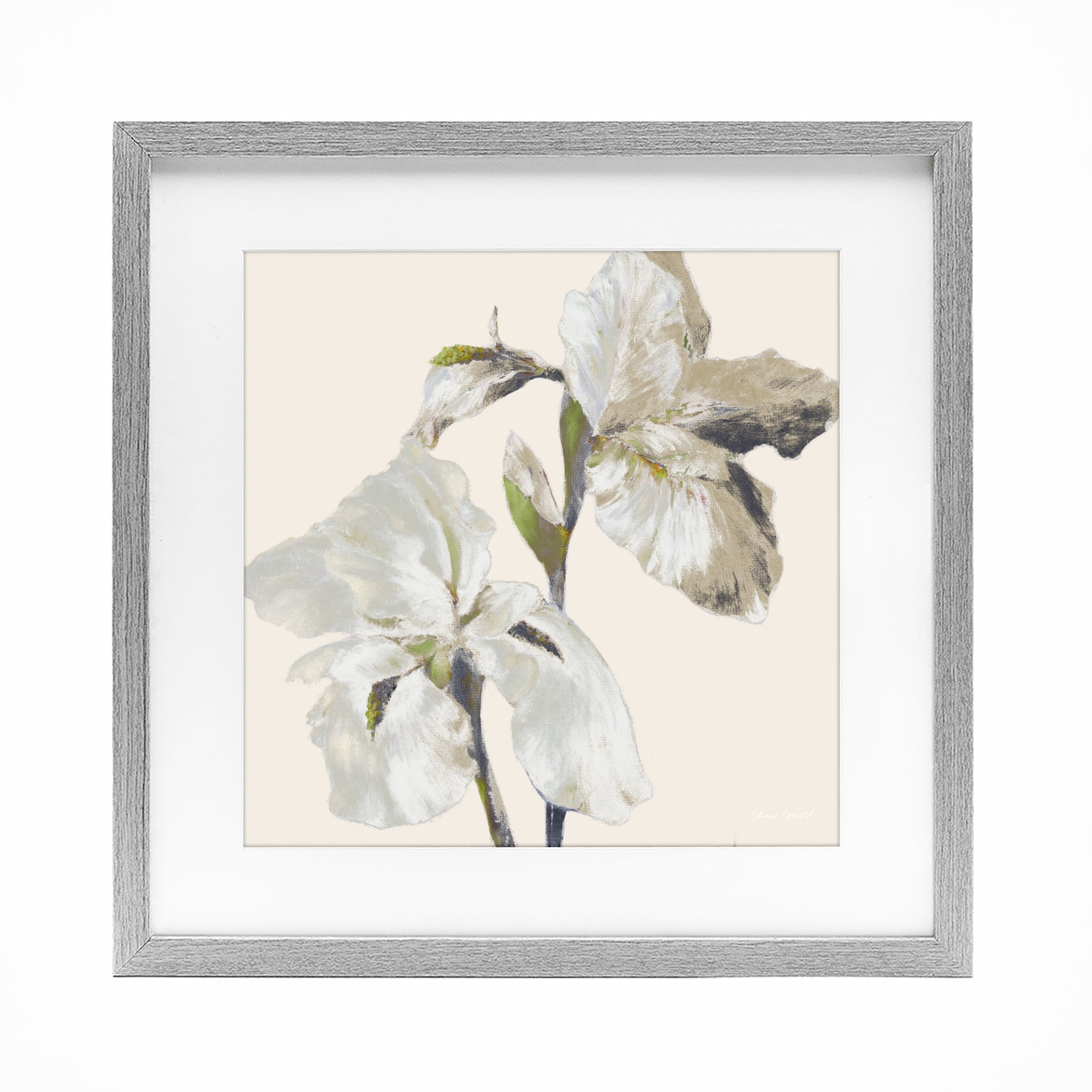 Stupell Industries Irises Soft Beige Gray Framed Print Under Glass, design by Lanie Loreth