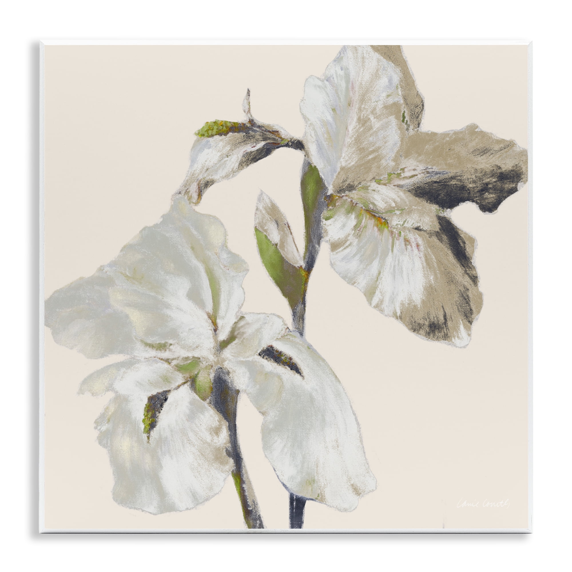 Stupell Industries Irises Soft Beige Wall Plaque Art, design by Lanie Loreth