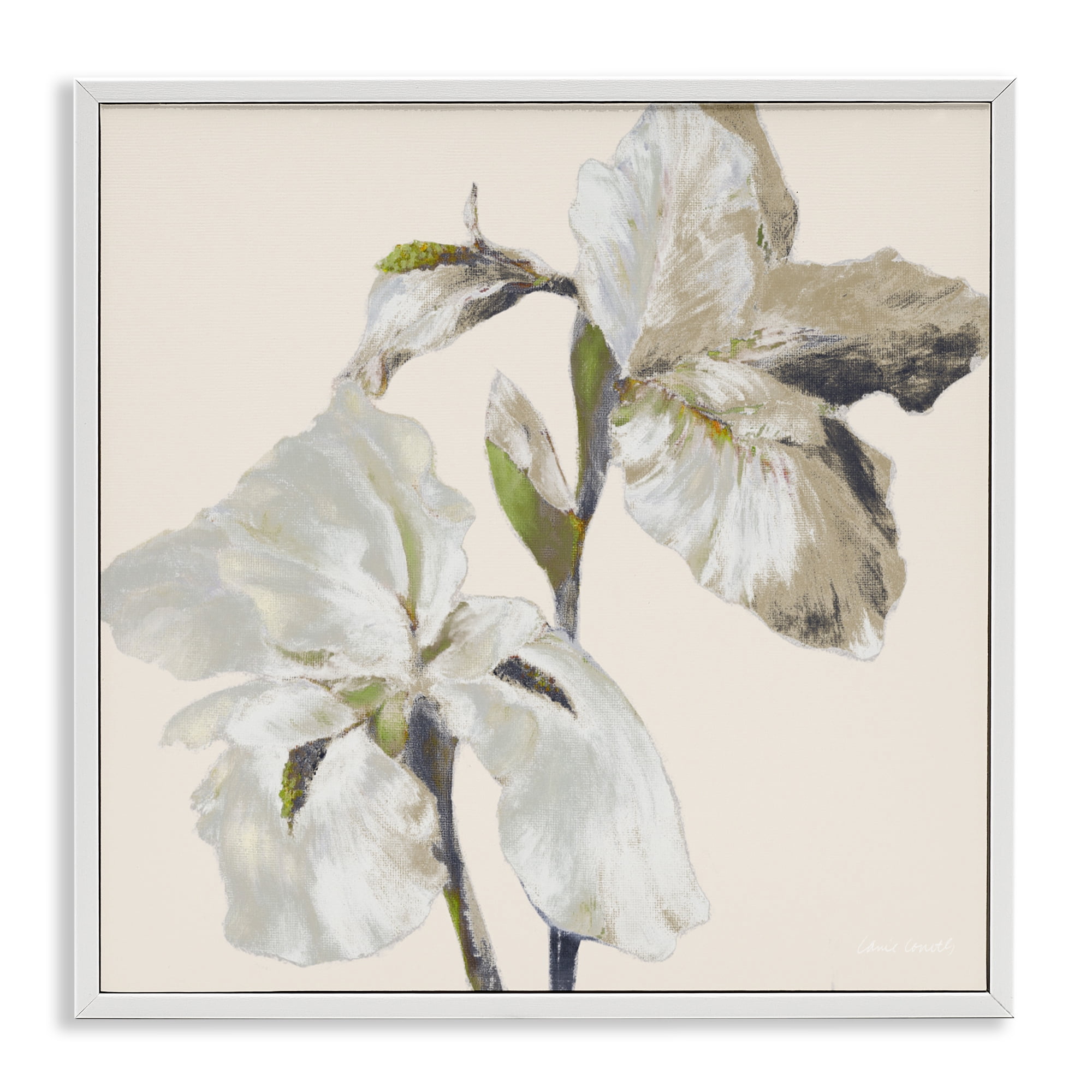 Stupell Industries Irises Soft Beige White Framed Giclee Art, design by Lanie Loreth
