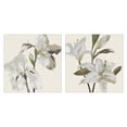 thumbnail image 1 of Stupell Industries Transitional Irises and Lilies Soft Beige 2pc Canvas Art Set, 24 x 24 each, by Lanie Loreth, 1 of 7
