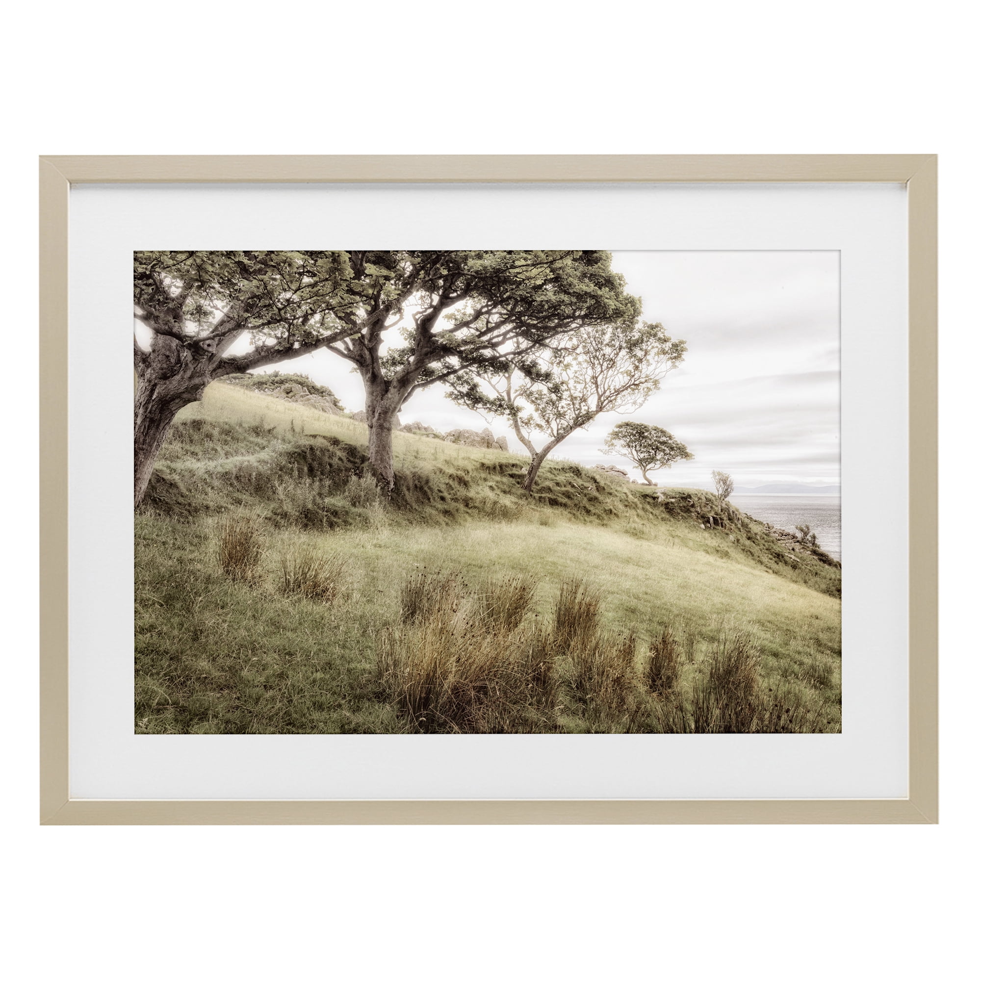 Stupell Industries Irish Hillside Landscape Birch Framed Print Under Glass, design by Andy Amos