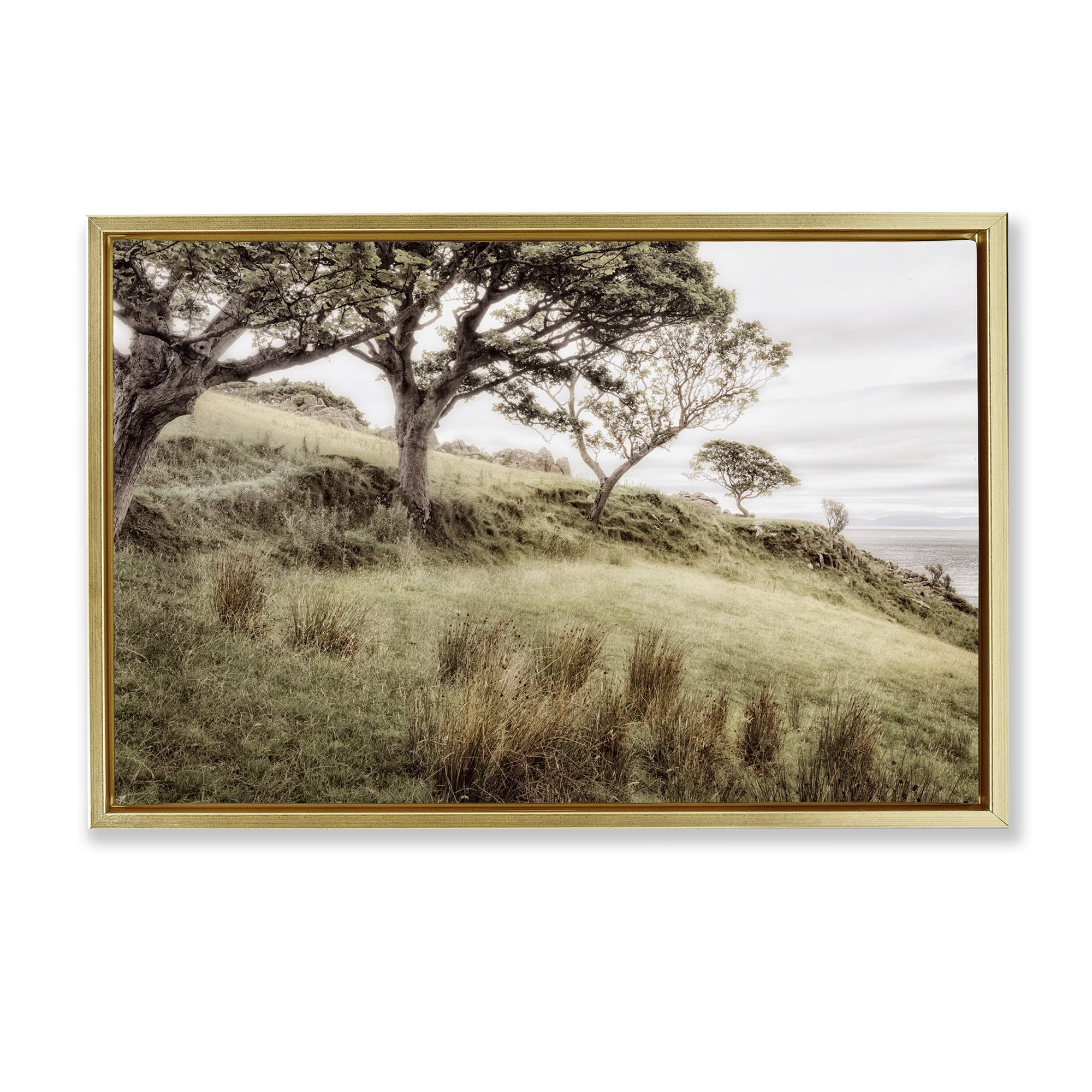 Stupell Industries Irish Hillside Landscape Gold Framed Floater Canvas Wall Art, design by Andy Amos