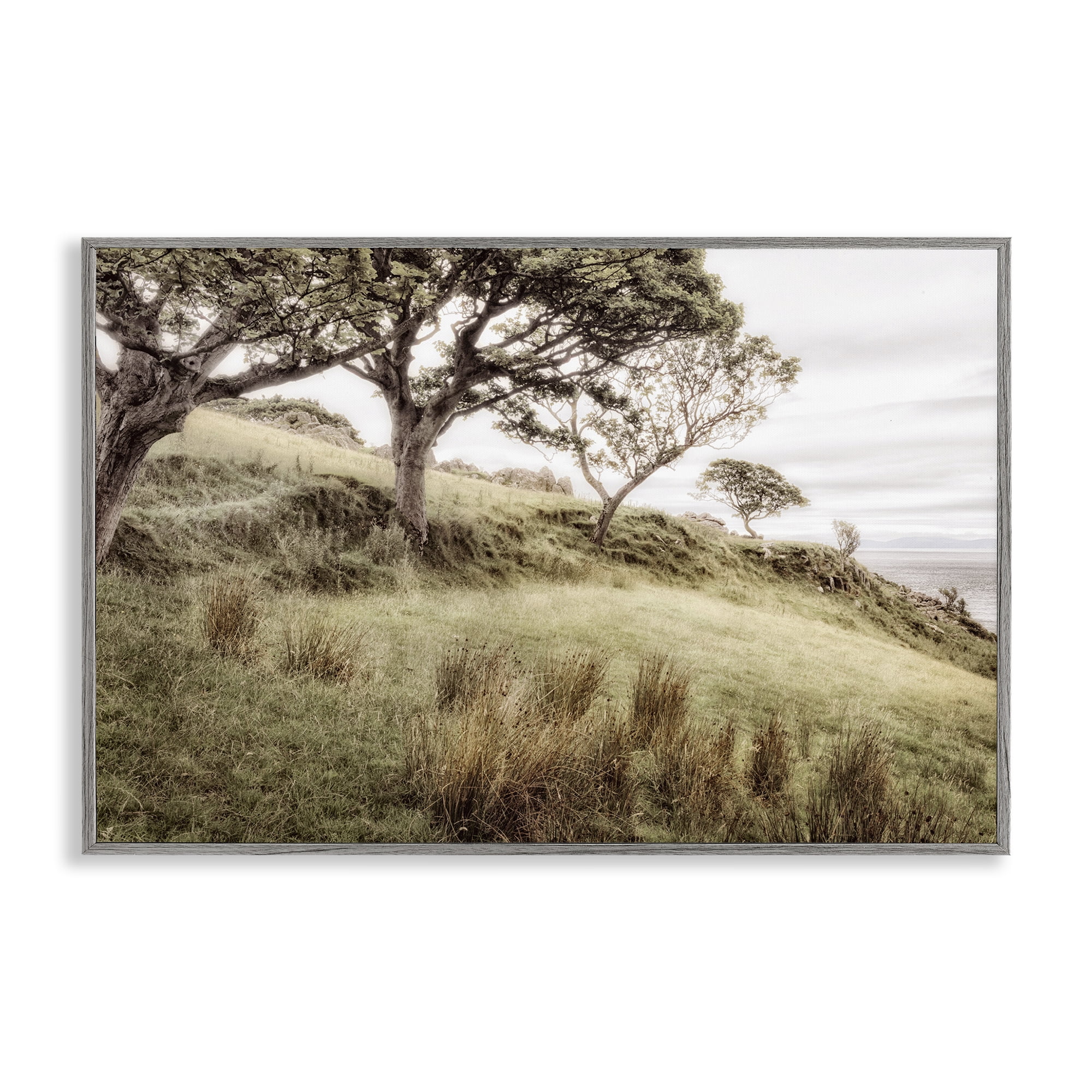 Stupell Industries Irish Hillside Landscape Gray Framed Giclee Art, design by Andy Amos
