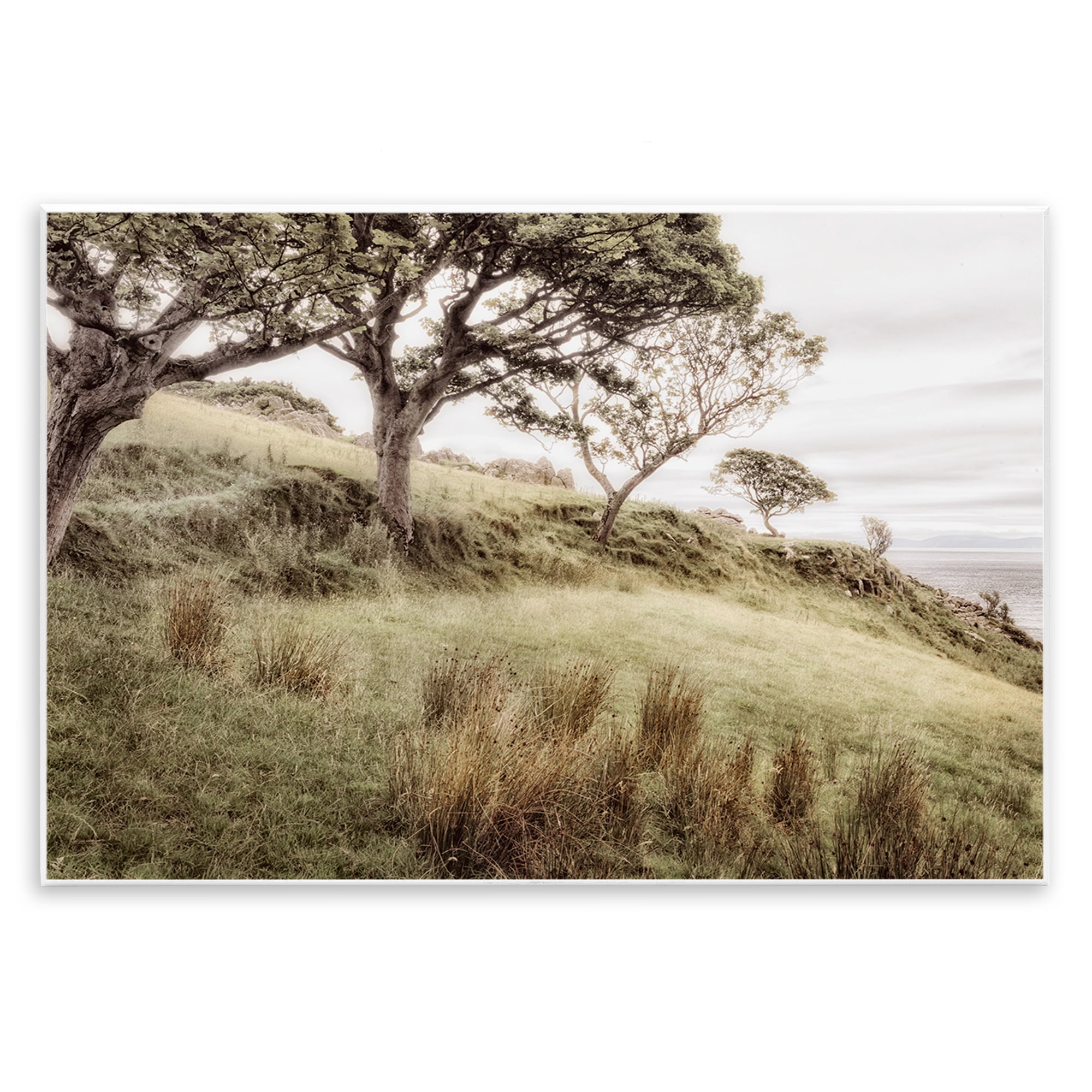 Stupell Industries Irish Hillside Landscape Wall Plaque Art, design by Andy Amos