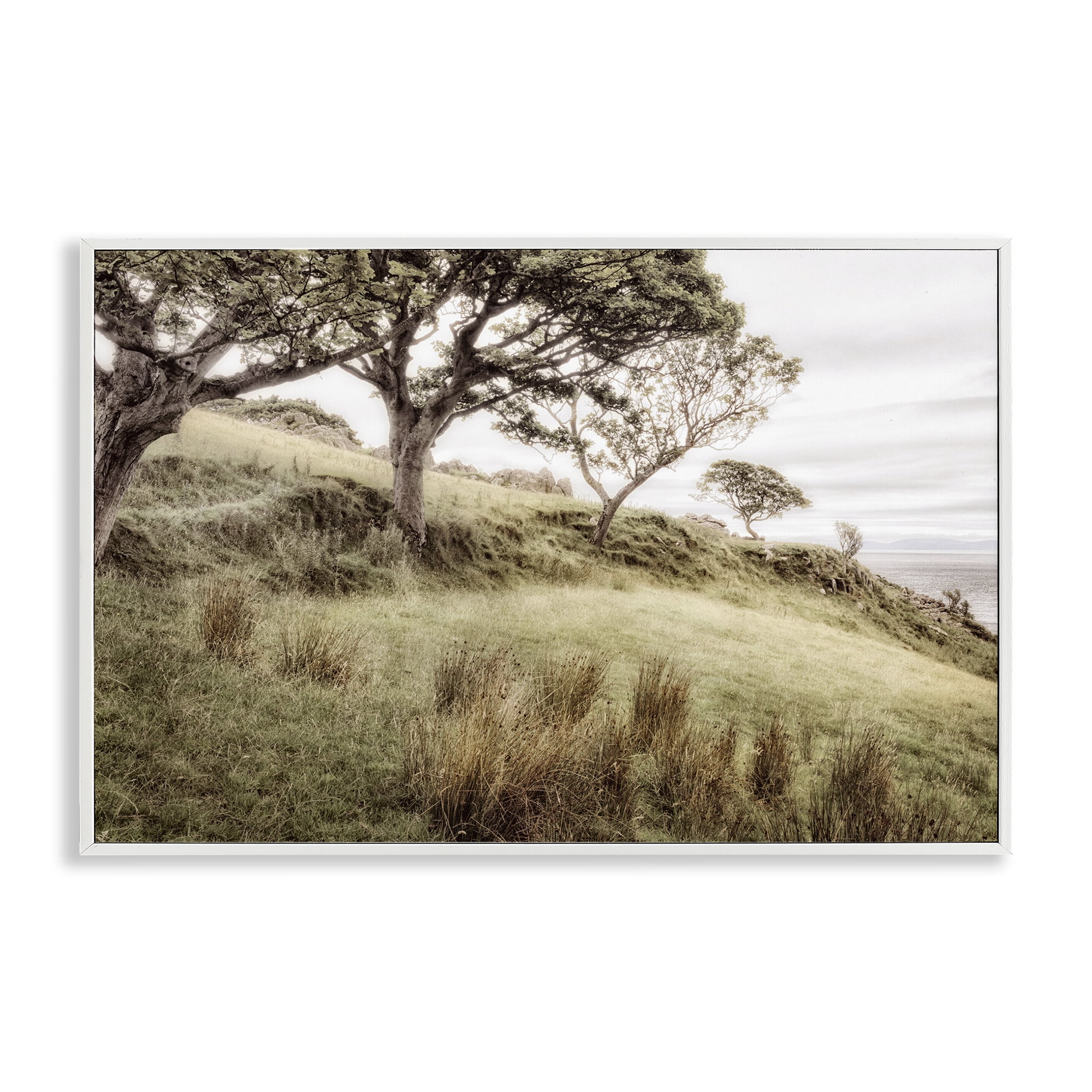 Stupell Industries Irish Hillside Landscape White Framed Giclee Art, design by Andy Amos