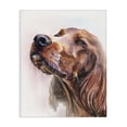 thumbnail image 1 of Stupell Industries Eclectic Irish Setter Dog Pet Animal Watercolor Canvas Art, 16 x 20, by George Dyachenko, 1 of 7