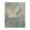thumbnail image 1 of Stupell Industries Traditional Island Specter Bird Canvas Art, 16 x 20, by Grace Popp, 1 of 7