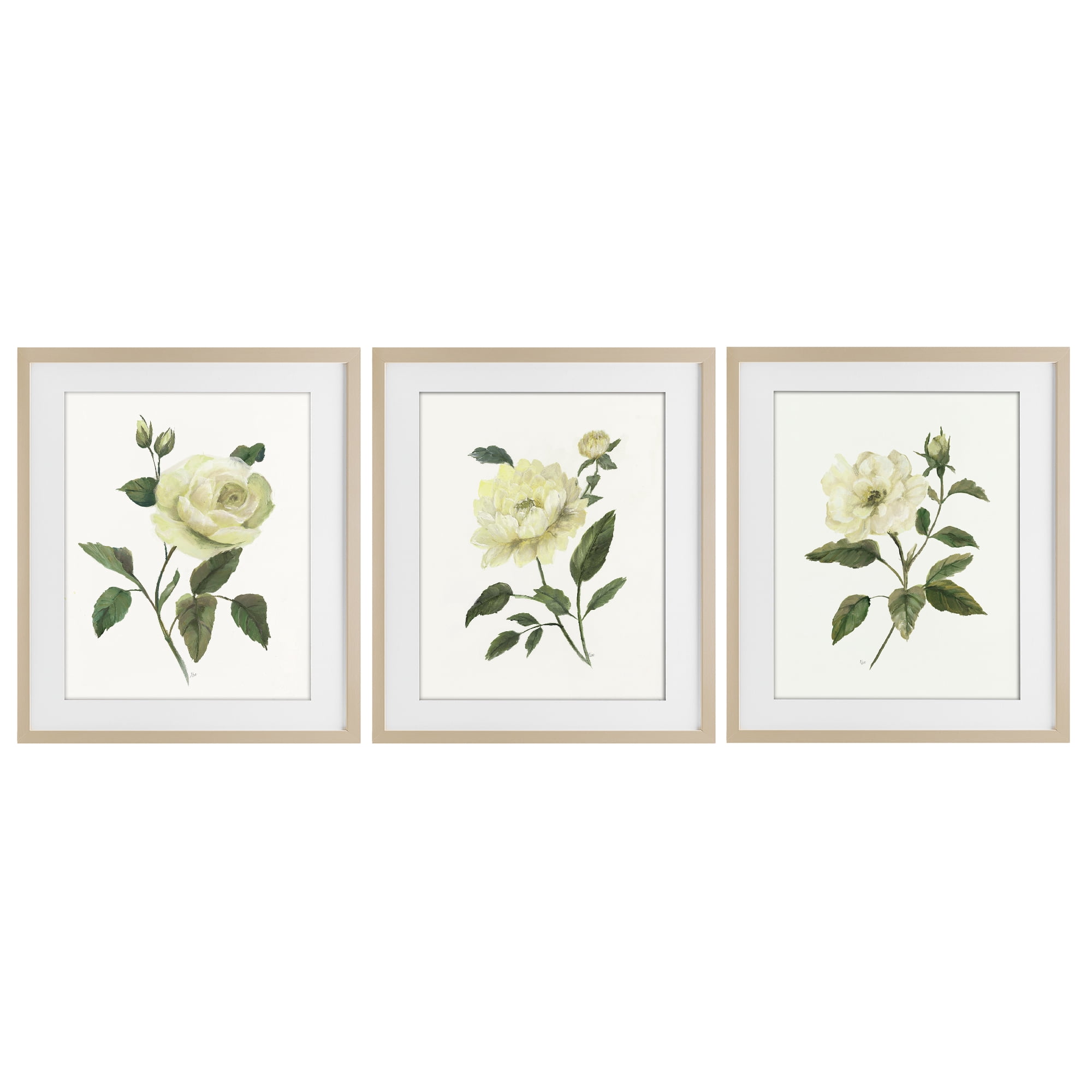Stupell Industries Ivory Budding Garden Flowers 3 Piece Birch Framed Print Under Glass Set, design by Nan
