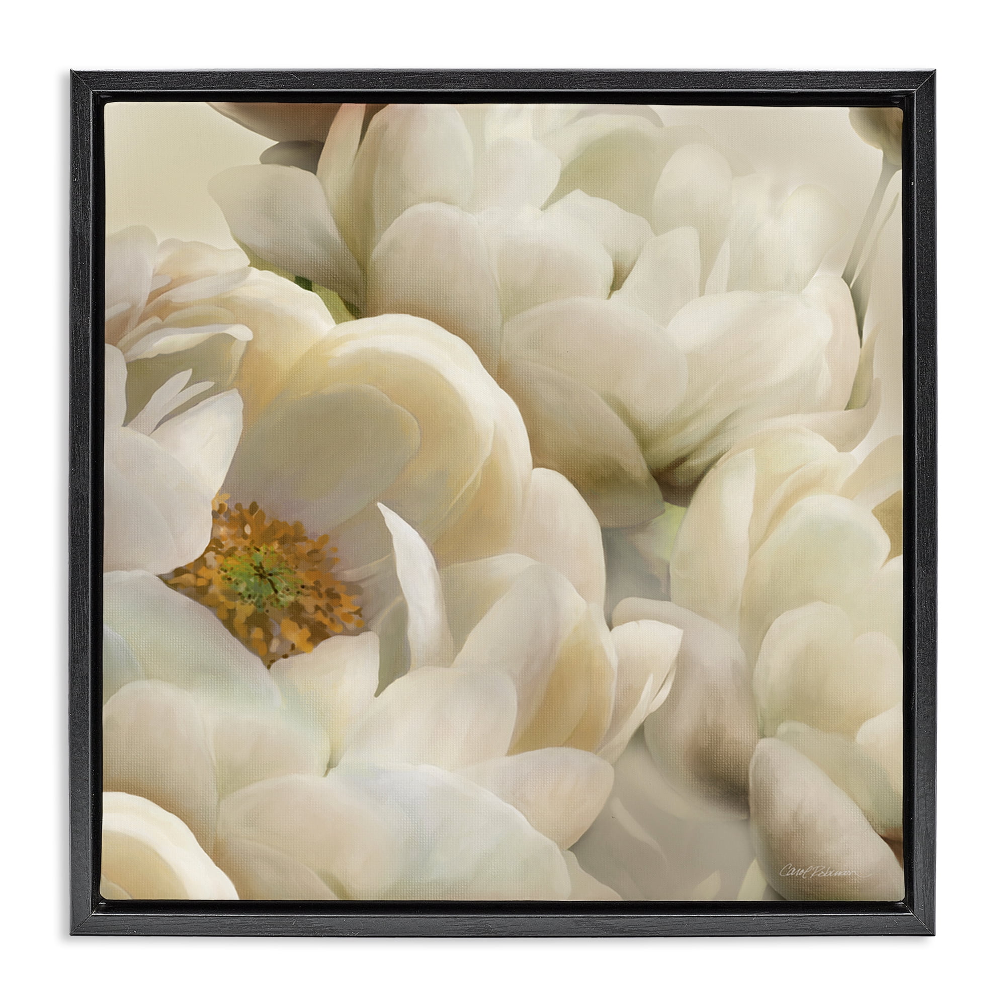 Stupell Industries Ivory Magnolia Petals Plants & Flowers Photography Black Floater Framed Canvas Art Print Wall Art, 18 x 18