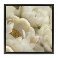 thumbnail image 1 of Stupell Industries Ivory Magnolia Petals Plants & Flowers Photography Black Floater Framed Canvas Art Print Wall Art, 25 x 25, 1 of 2