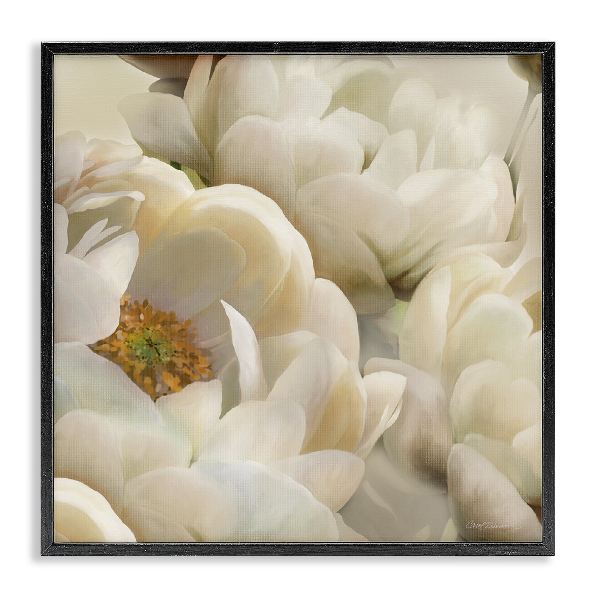 Stupell Industries Ivory Magnolia Petals Plants & Flowers Photography Black Framed Art Print Wall Art, 17 x 17