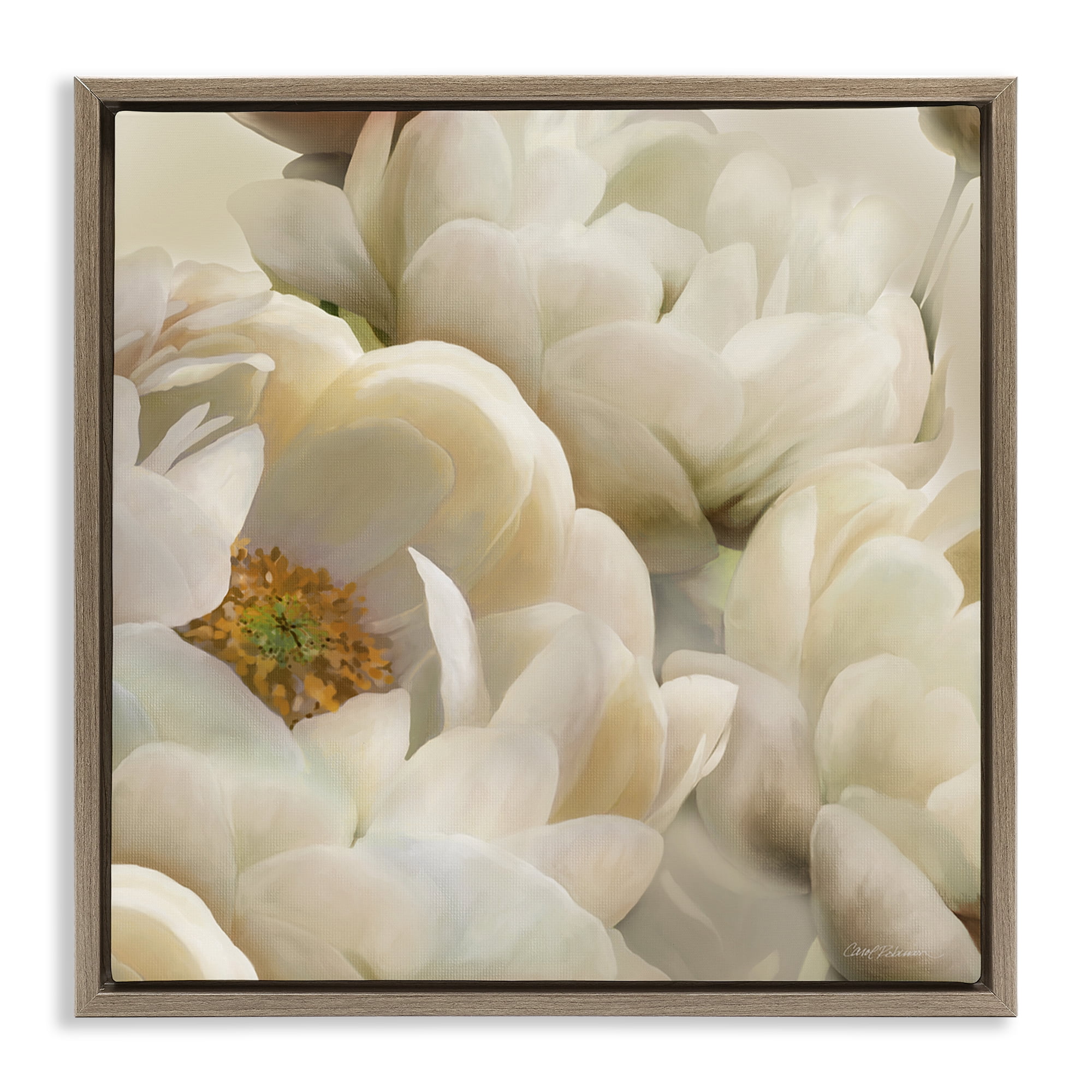 Stupell Industries Ivory Magnolia Petals Plants & Flowers Photography Brown Floater Framed Canvas Art Print Wall Art, 25 x 25