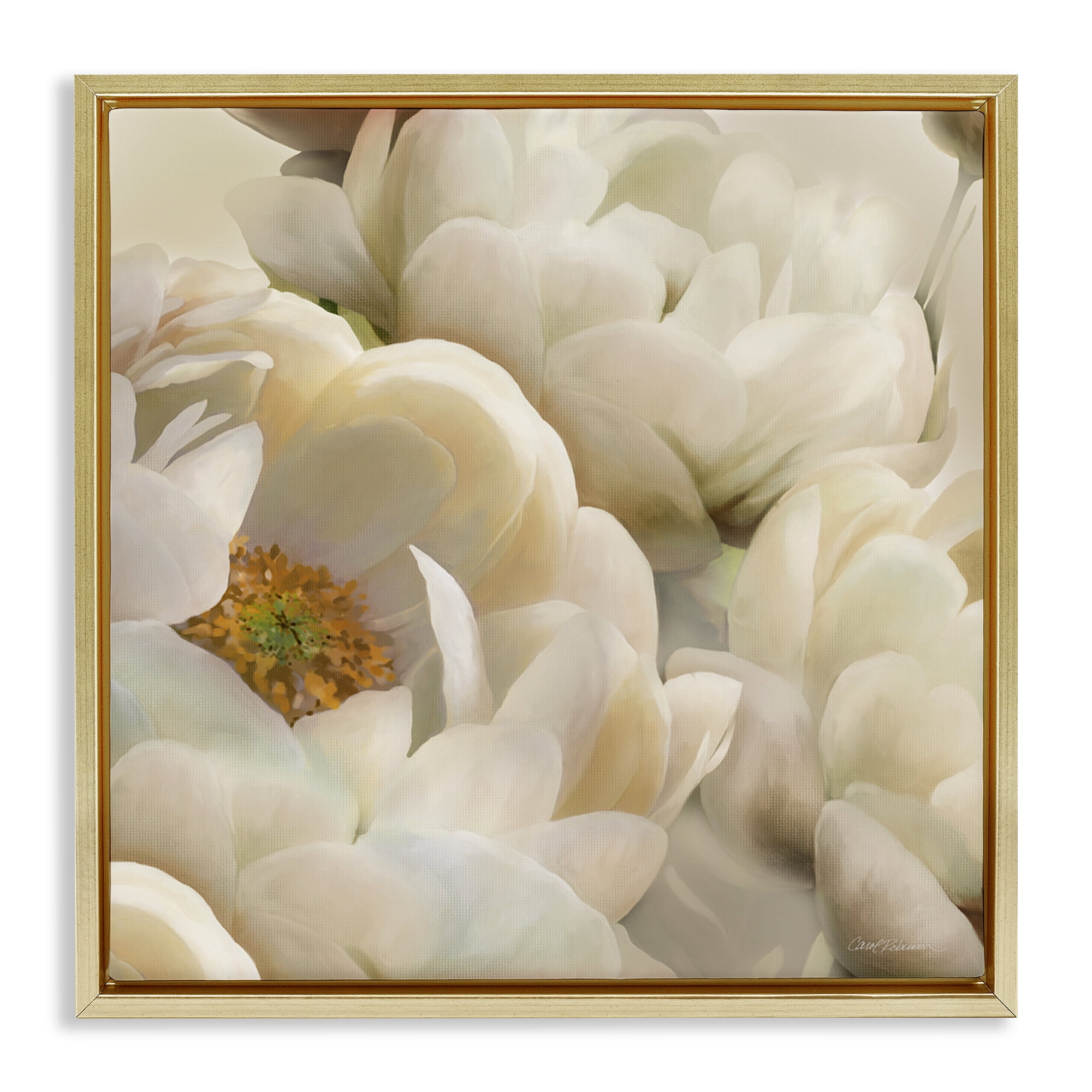 Stupell Industries Ivory Magnolia Petals Plants & Flowers Photography Gold Floater Framed Canvas Art Print Wall Art, 25 x 25