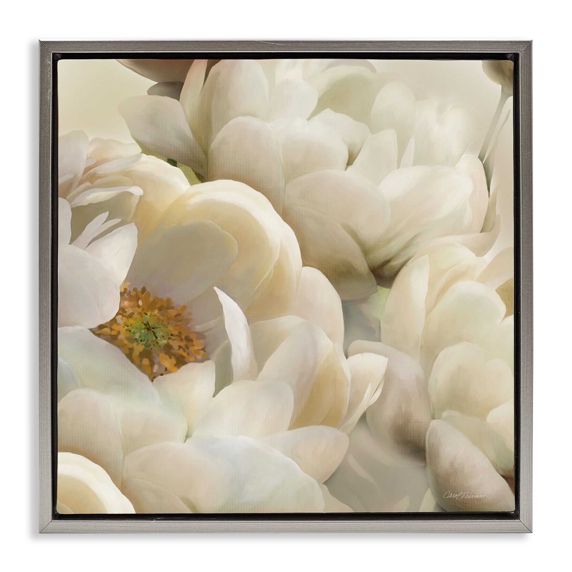 Stupell Industries Ivory Magnolia Petals Plants & Flowers Photography Gray Floater Framed Canvas Art Print Wall Art, 18 x 18