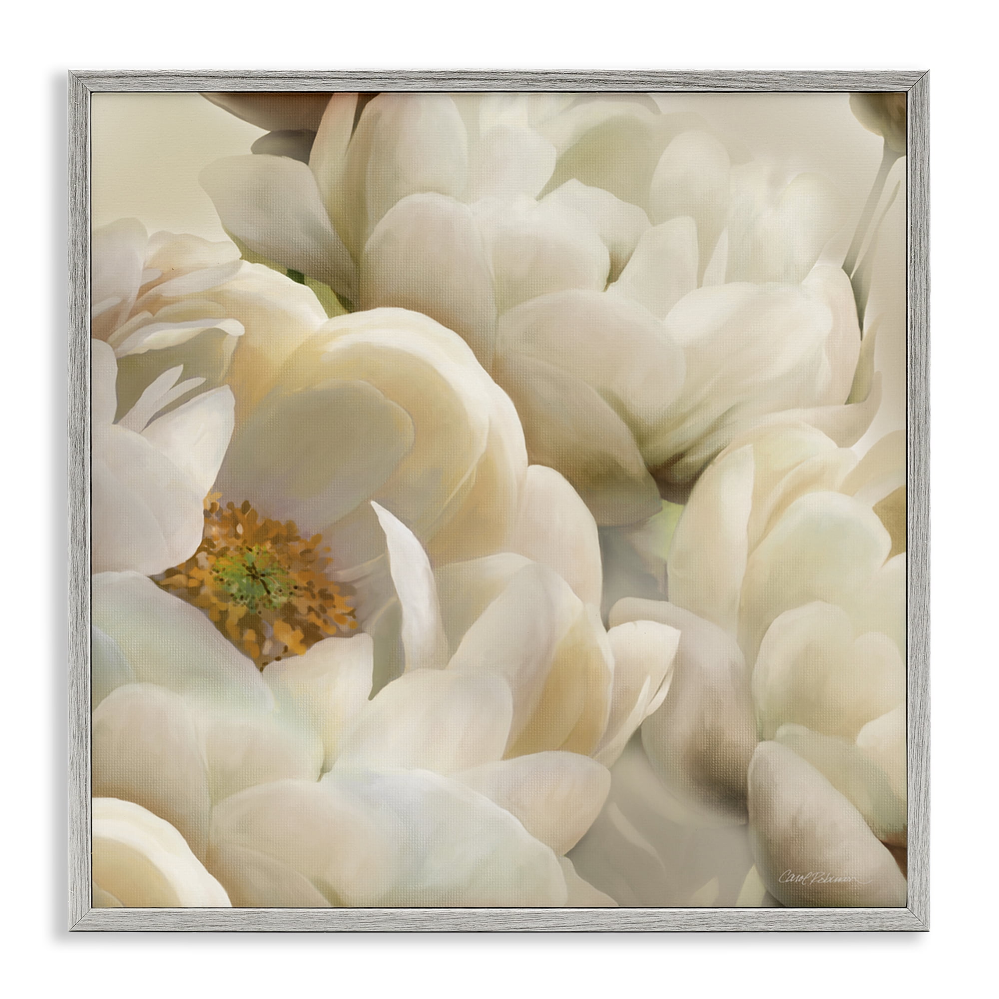 Stupell Industries Ivory Magnolia Petals Plants & Flowers Photography Gray Framed Art Print Wall Art, 24 x 24