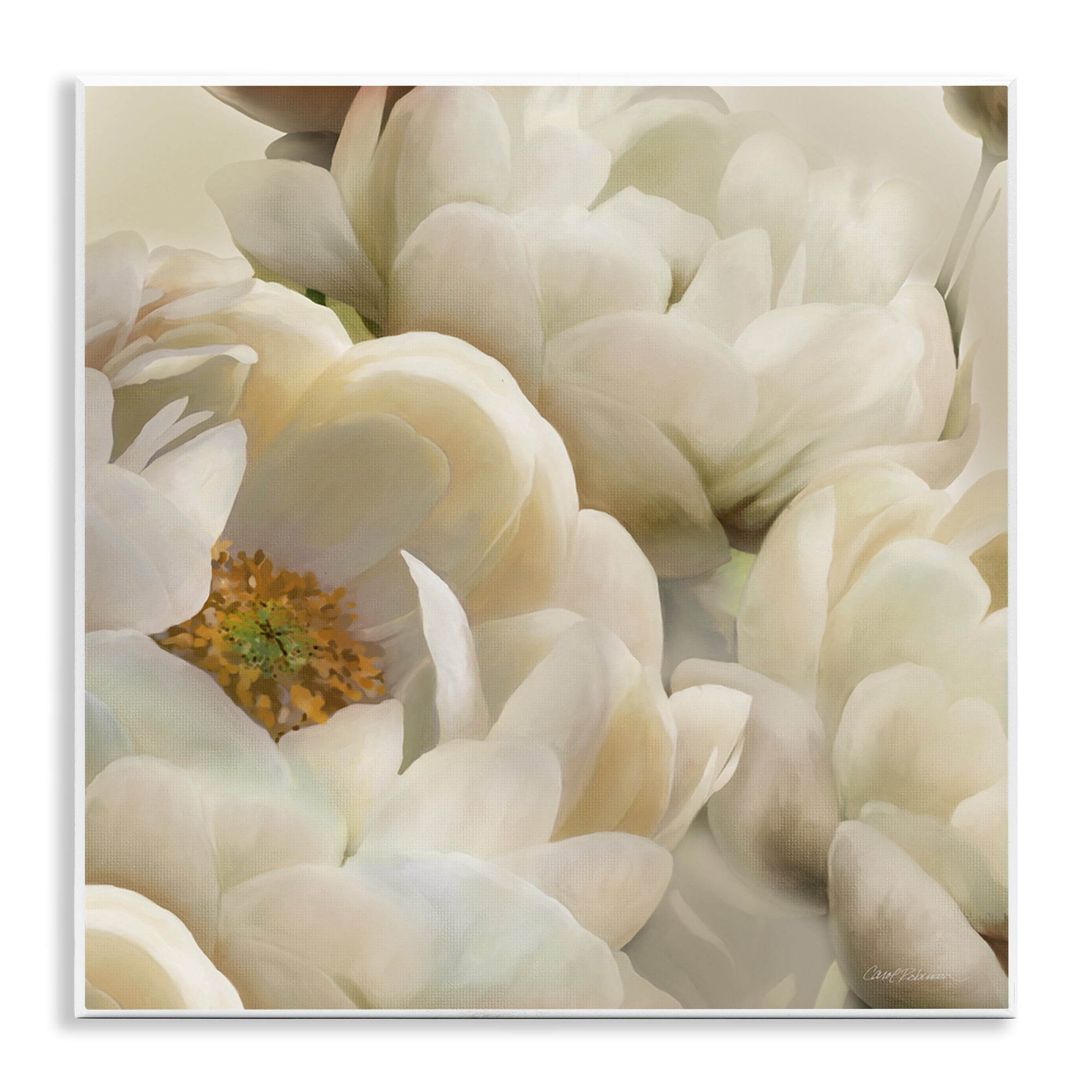 Stupell Industries Ivory Magnolia Petals Plants & Flowers Photography Unframed Art Print Wall Art, 12 x 12