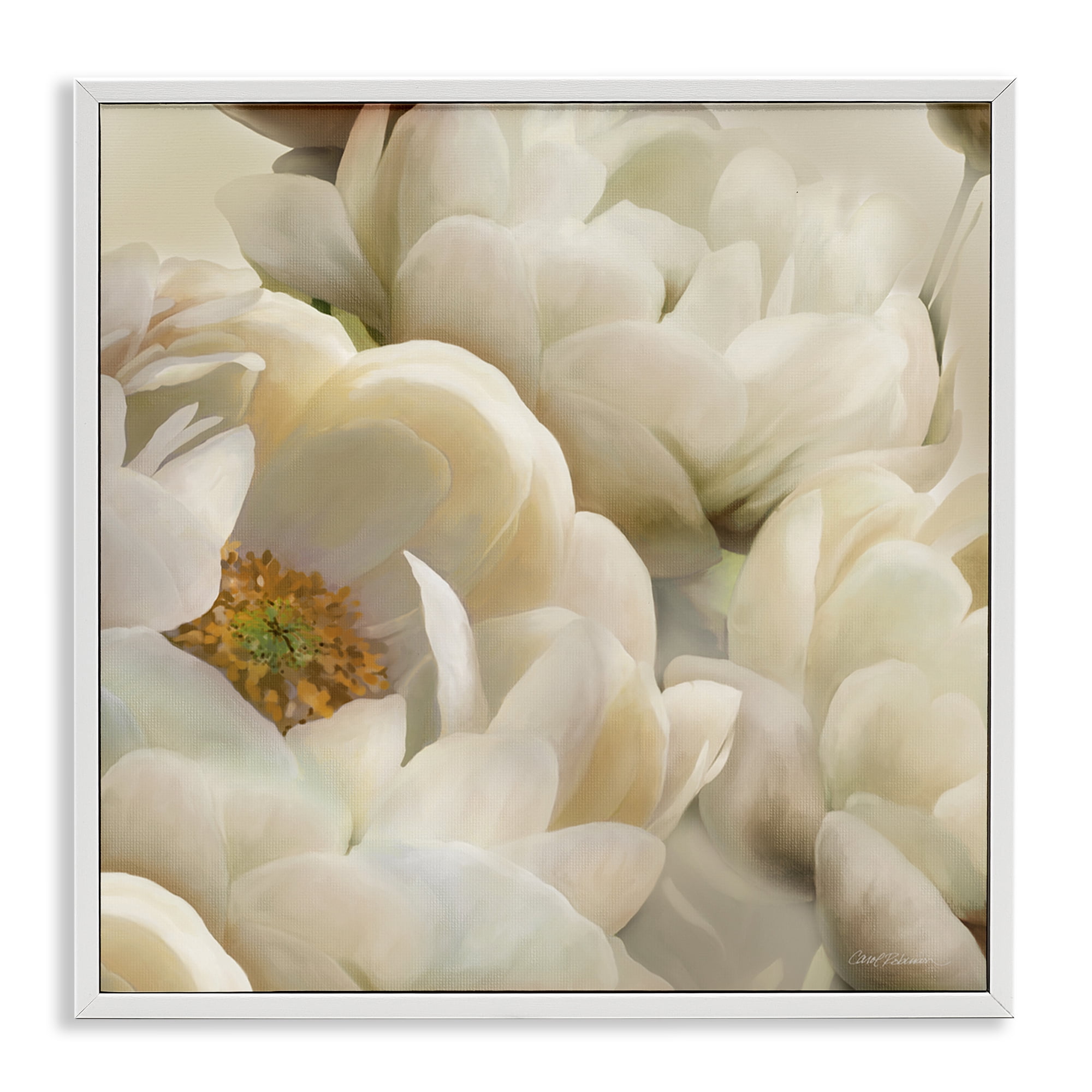 Stupell Industries Ivory Magnolia Petals Plants & Flowers Photography White Framed Art Print Wall Art, 24 x 24