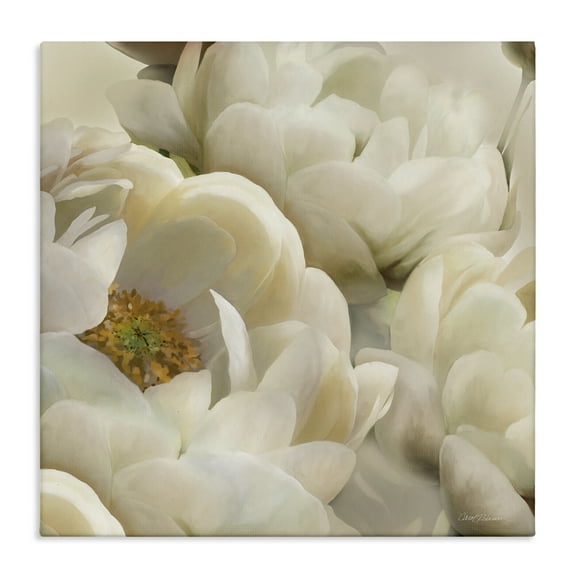 Stupell Industries Ivory Magnolia Petals Plants & Flowers Photography Wrapped Canvas Art Print Wall Art, 17 x 17
