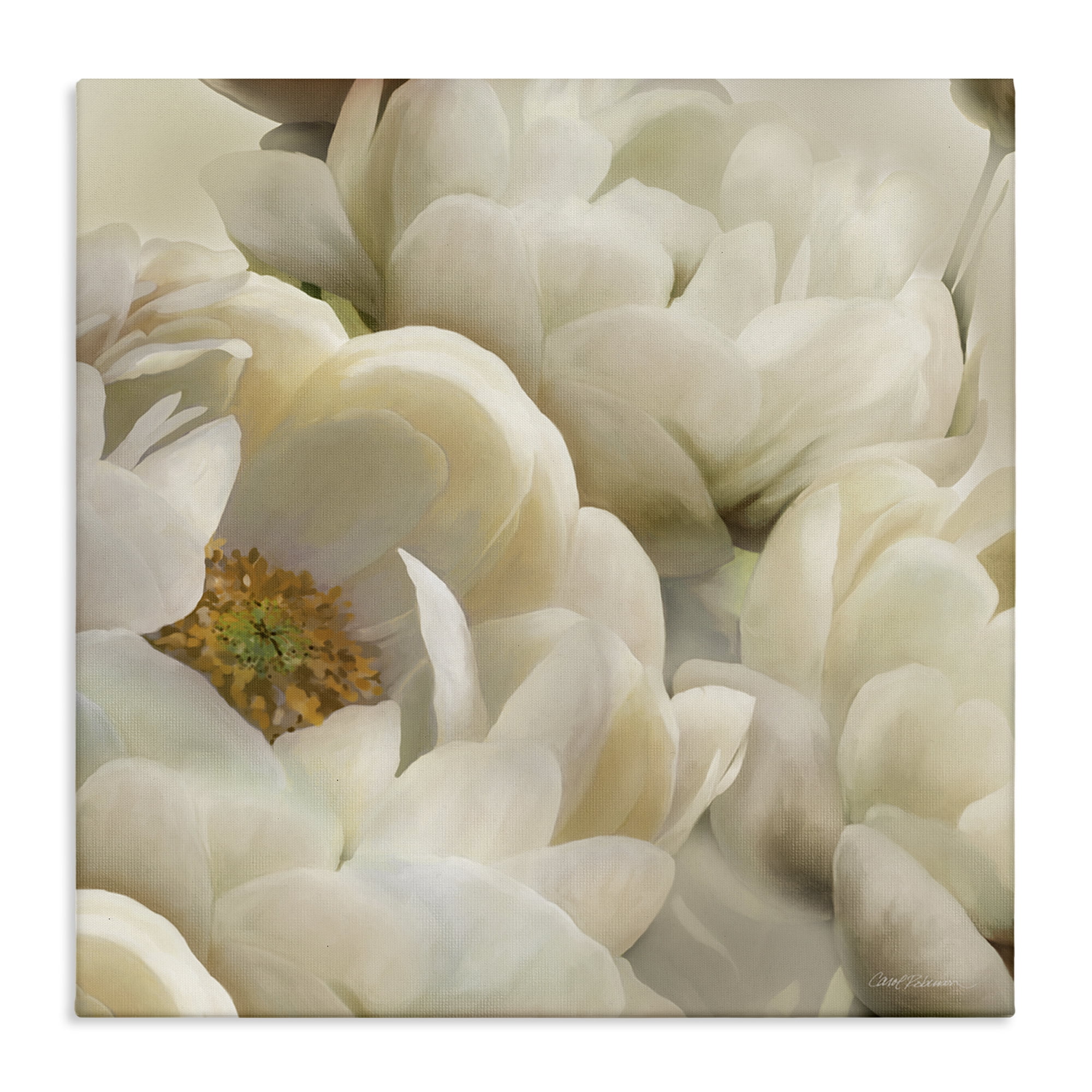 Stupell Industries Ivory Magnolia Petals Plants & Flowers Photography Wrapped Canvas Art Print Wall Art, 30 x 30