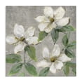thumbnail image 1 of Stupell Industries Farmhouse Ivory Magnolia Trio Canvas Art, 17 x 17, by Sally Swatland, 1 of 8