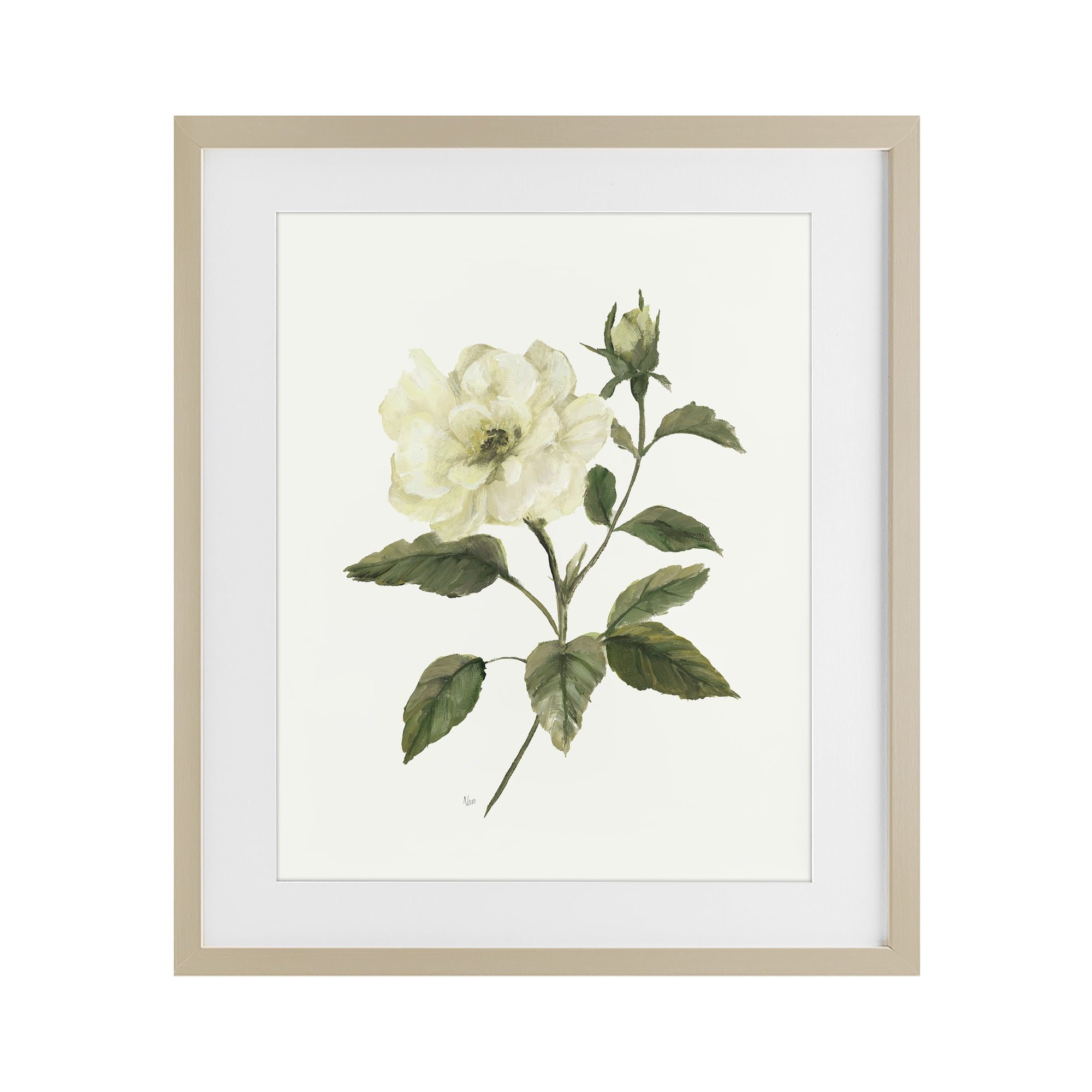 Stupell Industries Ivory Rose Bloom With Green Foliage Birch Framed Print Under Glass, design by Nan