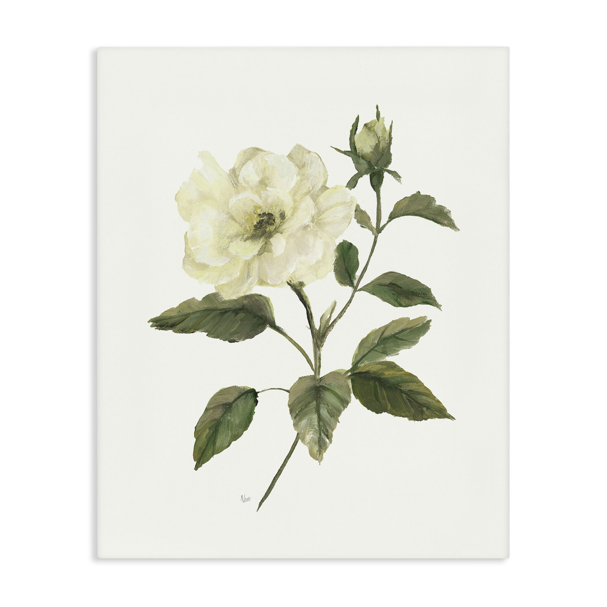 Stupell Industries Ivory Rose Bloom With Green Foliage Canvas Wall Art, design by Nan