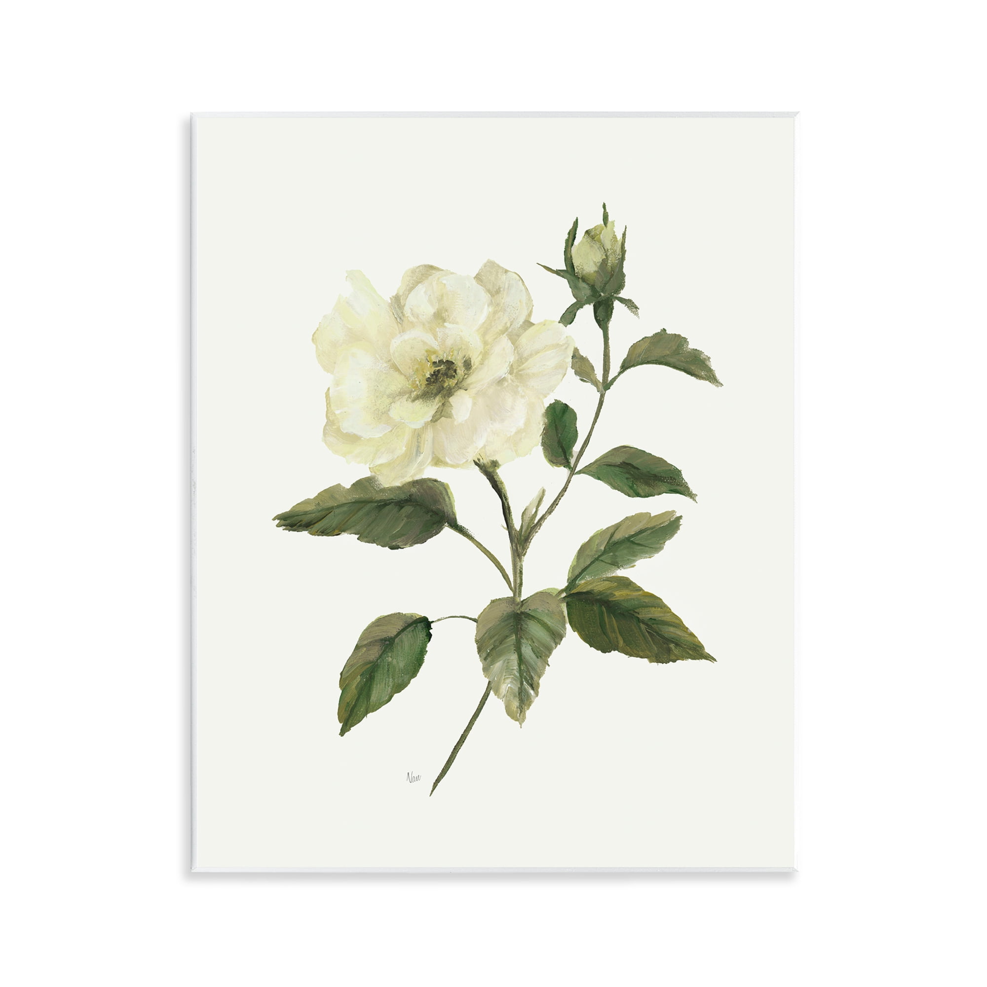 Stupell Industries Ivory Rose Bloom With Green Foliage Wall Plaque Art, design by Nan