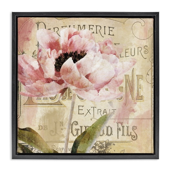 Stupell Industries Jardin Rouge Vintage Blossom Black Framed Floater Canvas Wall Art design by Sophie 6, 25 x 25