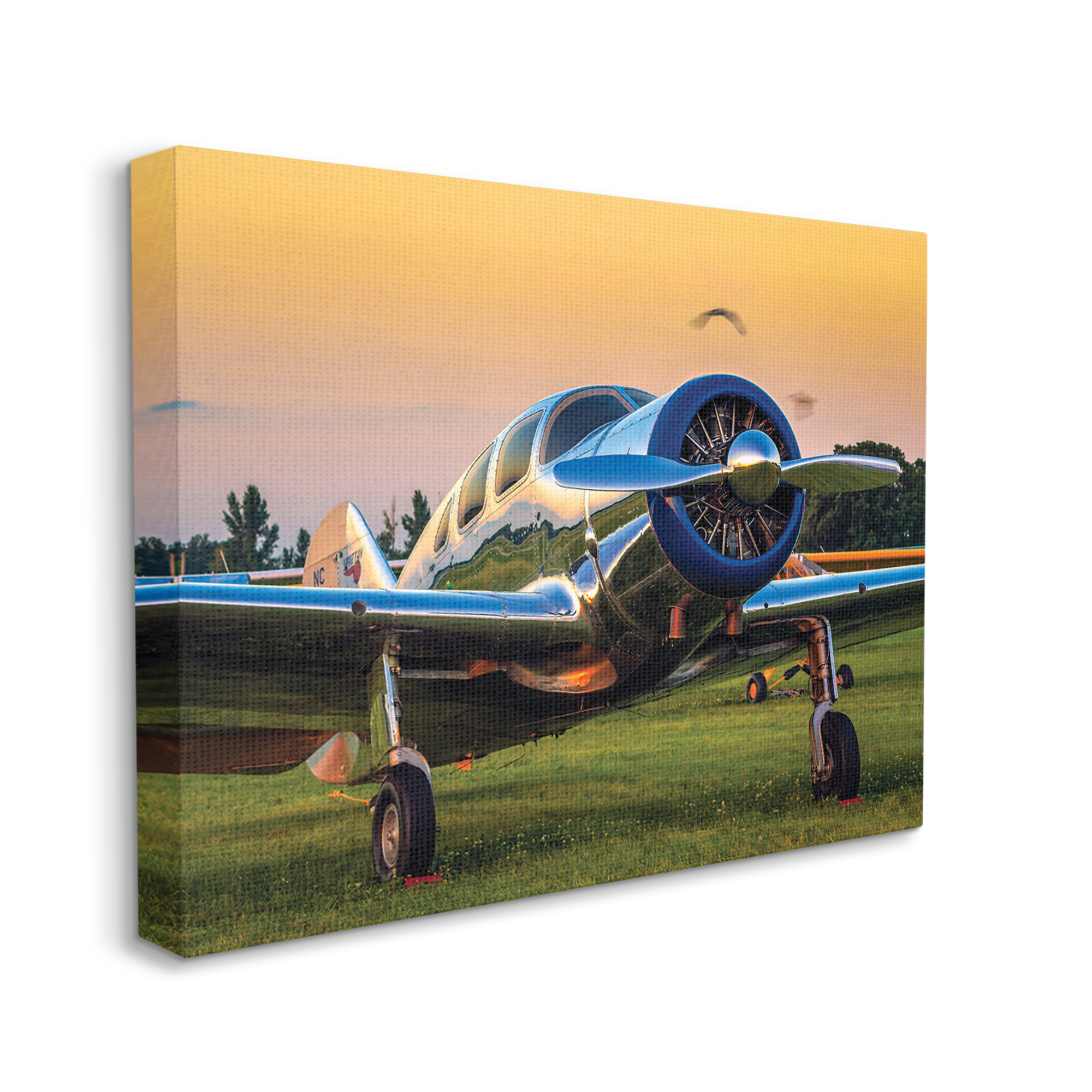 Stupell Industries Jet Plane in Meadow Summer Sunset Reflection,36 x 48,Designed by John Slemp