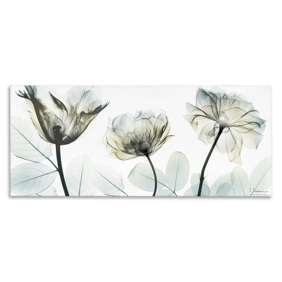 Stupell Industries Jewel of Passion Flowers Canvas Wall Art, design by Albert Koetsier